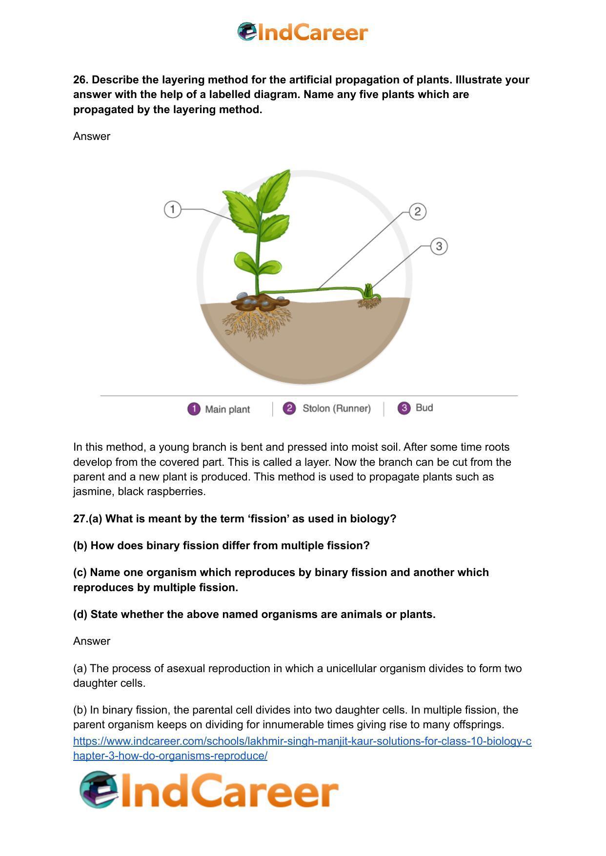 Lakhmir Singh Manjit Kaur  Solutions for Class 10 Biology: Chapter 3- How Do Organisms Reproduce - Page 8