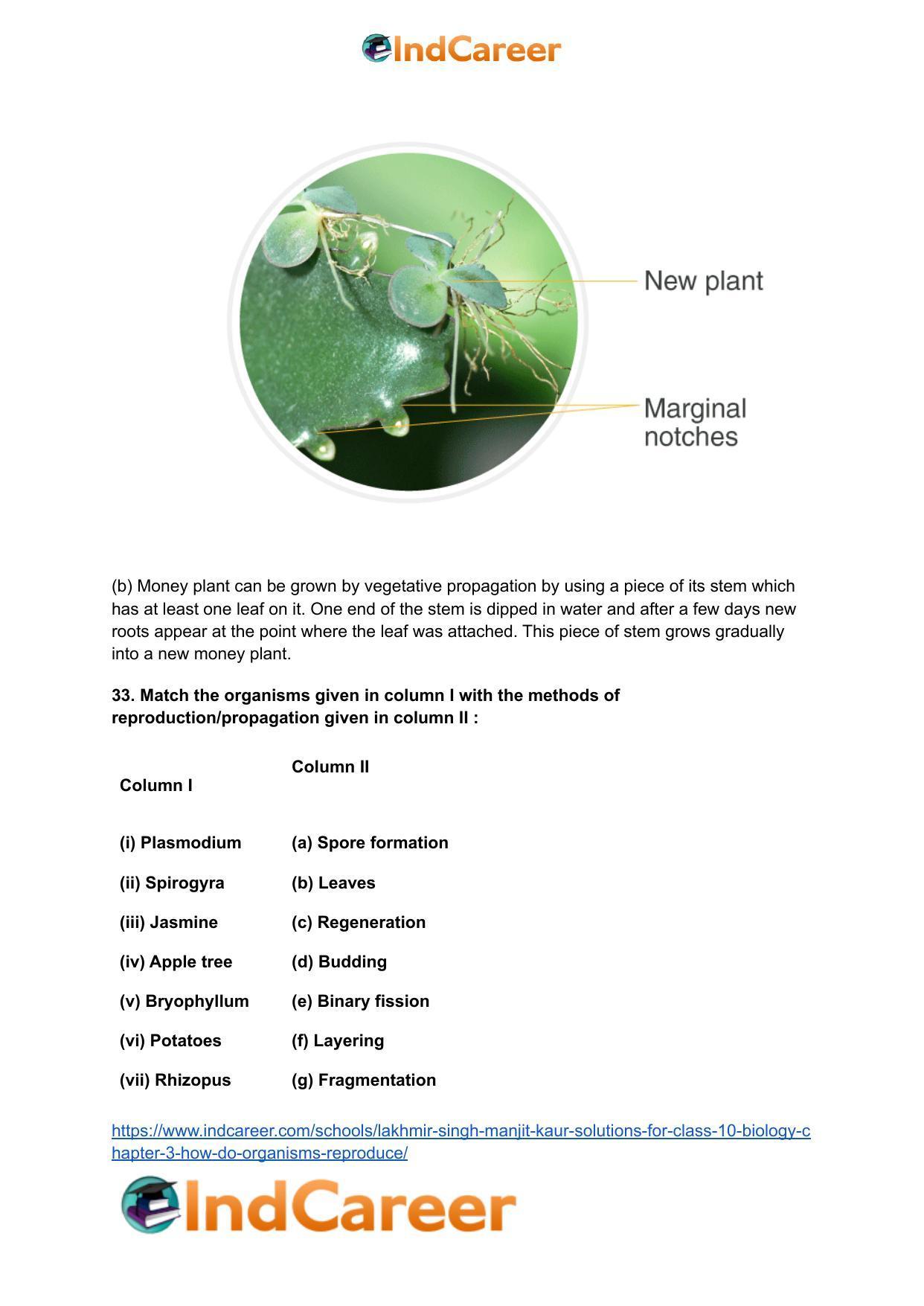 Lakhmir Singh Manjit Kaur  Solutions for Class 10 Biology: Chapter 3- How Do Organisms Reproduce - Page 11