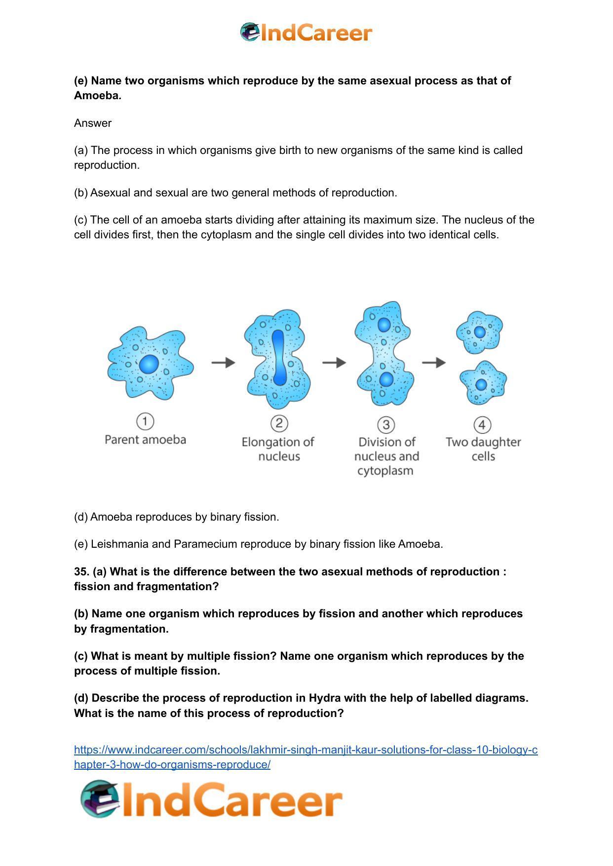Lakhmir Singh Manjit Kaur  Solutions for Class 10 Biology: Chapter 3- How Do Organisms Reproduce - Page 13