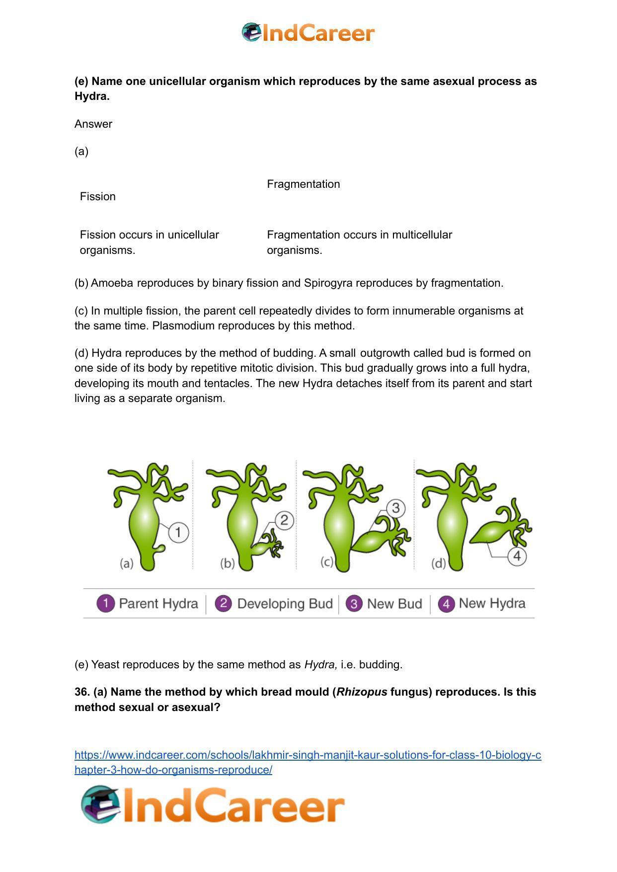 Lakhmir Singh Manjit Kaur  Solutions for Class 10 Biology: Chapter 3- How Do Organisms Reproduce - Page 14