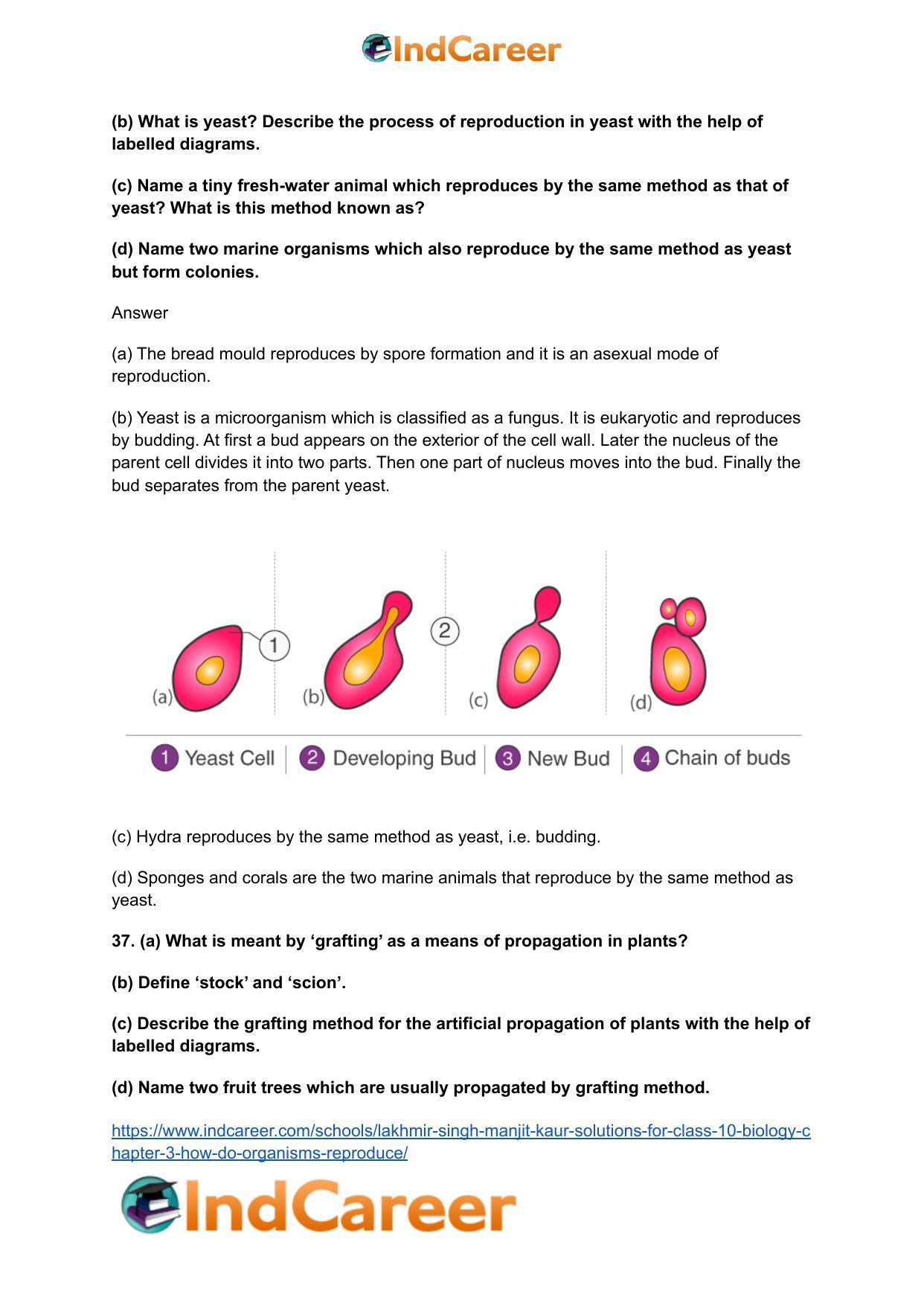 Lakhmir Singh Manjit Kaur  Solutions for Class 10 Biology: Chapter 3- How Do Organisms Reproduce - Page 15