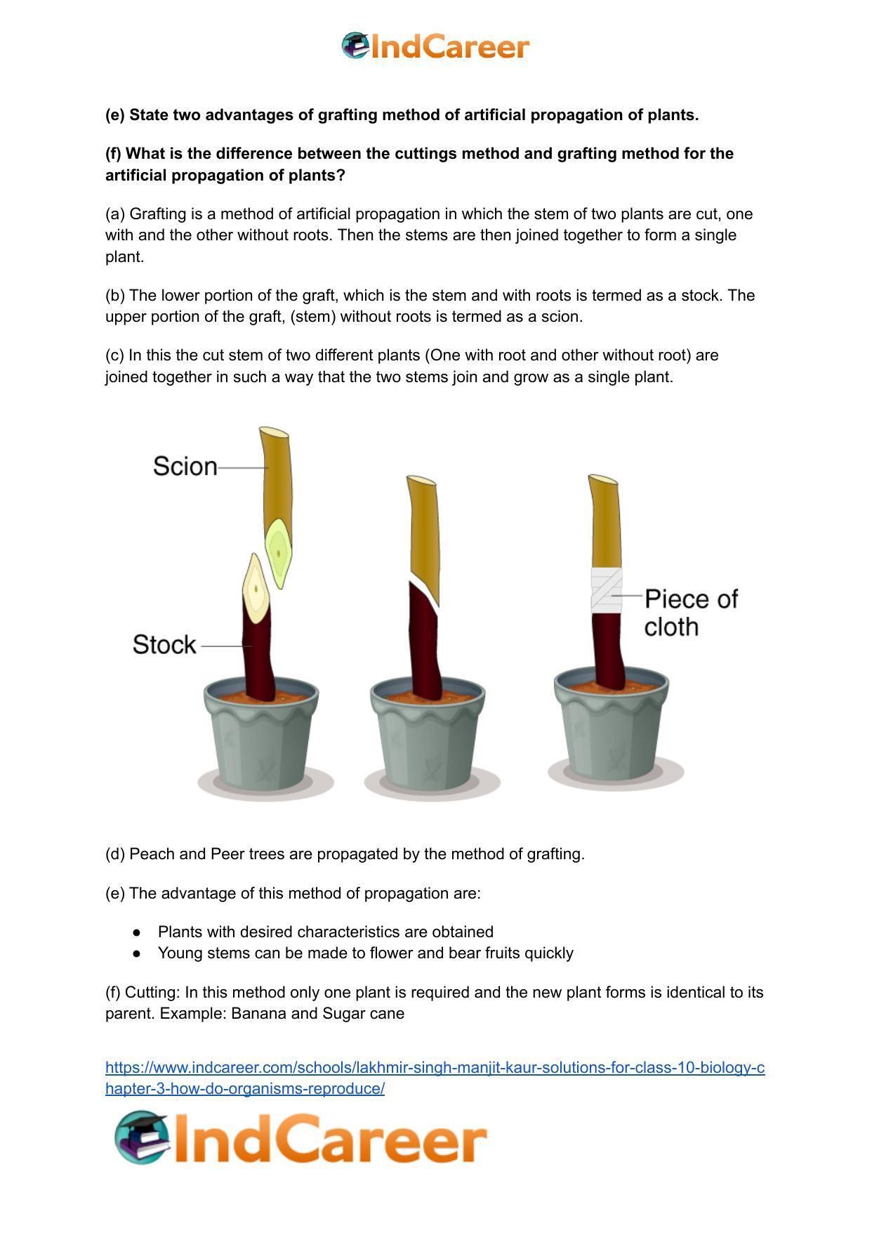 Lakhmir Singh Manjit Kaur  Solutions for Class 10 Biology: Chapter 3- How Do Organisms Reproduce - Page 16