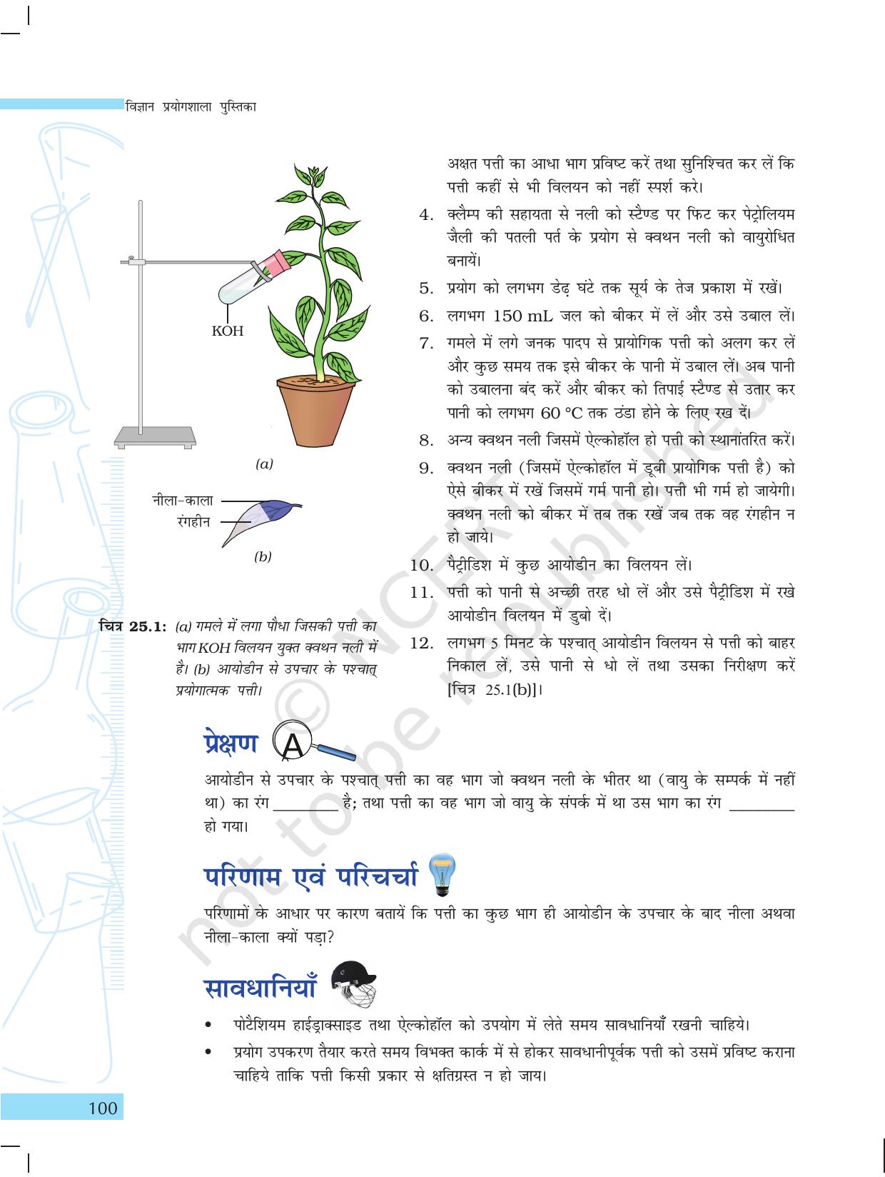NCERT Laboratory Manuals for Class X विज्ञान - सजीव जगत - Page 8