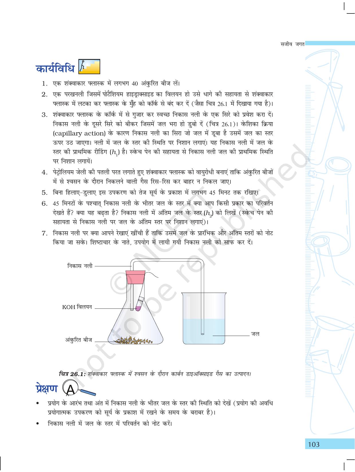 NCERT Laboratory Manuals for Class X विज्ञान - सजीव जगत - Page 11