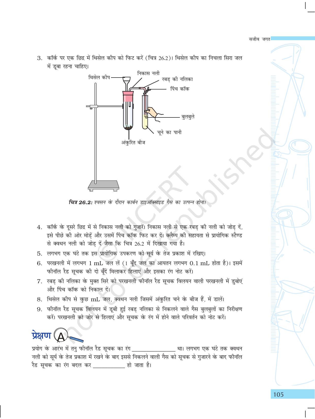 NCERT Laboratory Manuals for Class X विज्ञान - सजीव जगत - Page 13