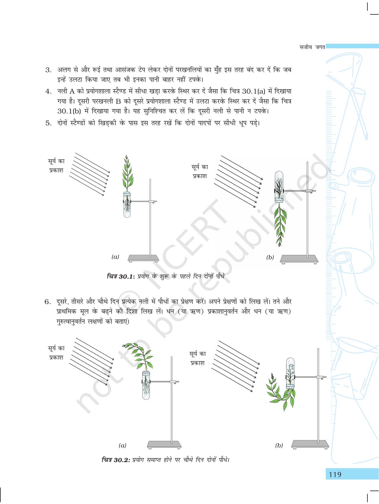 NCERT Laboratory Manuals for Class X विज्ञान - सजीव जगत - Page 27