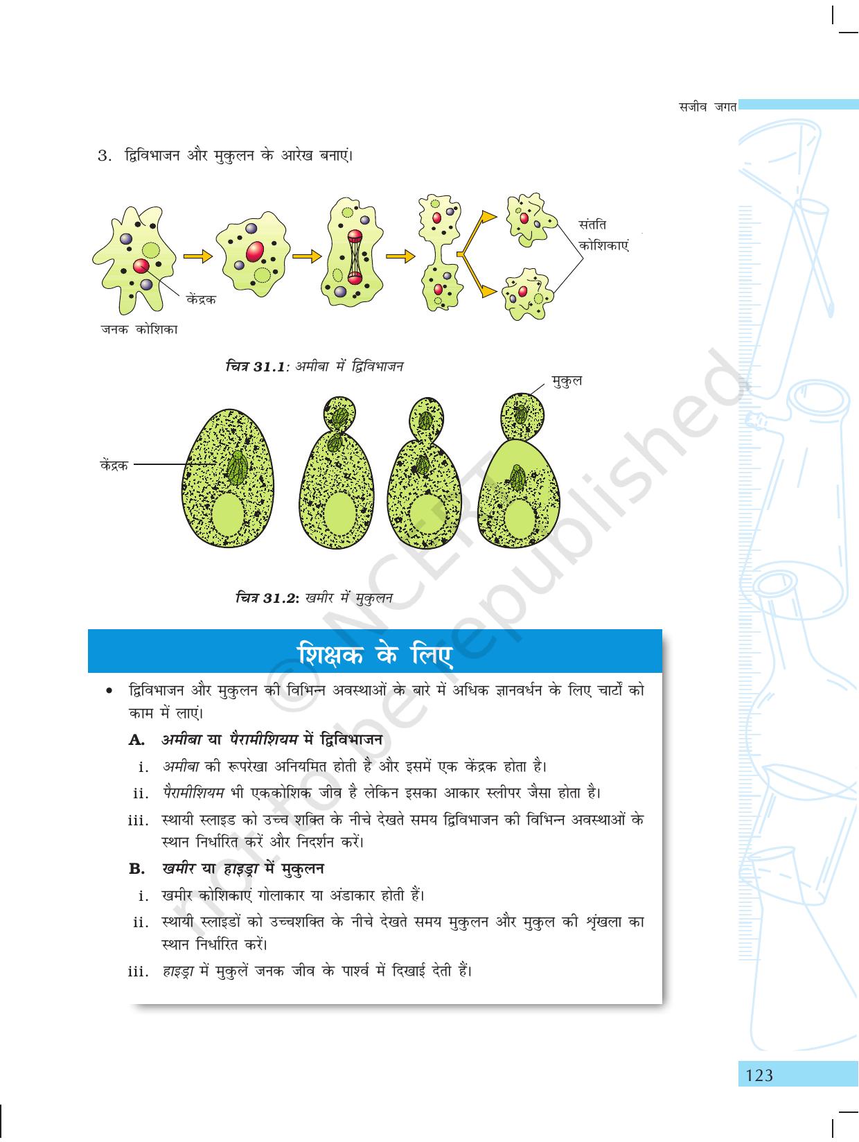NCERT Laboratory Manuals for Class X विज्ञान - सजीव जगत - Page 31
