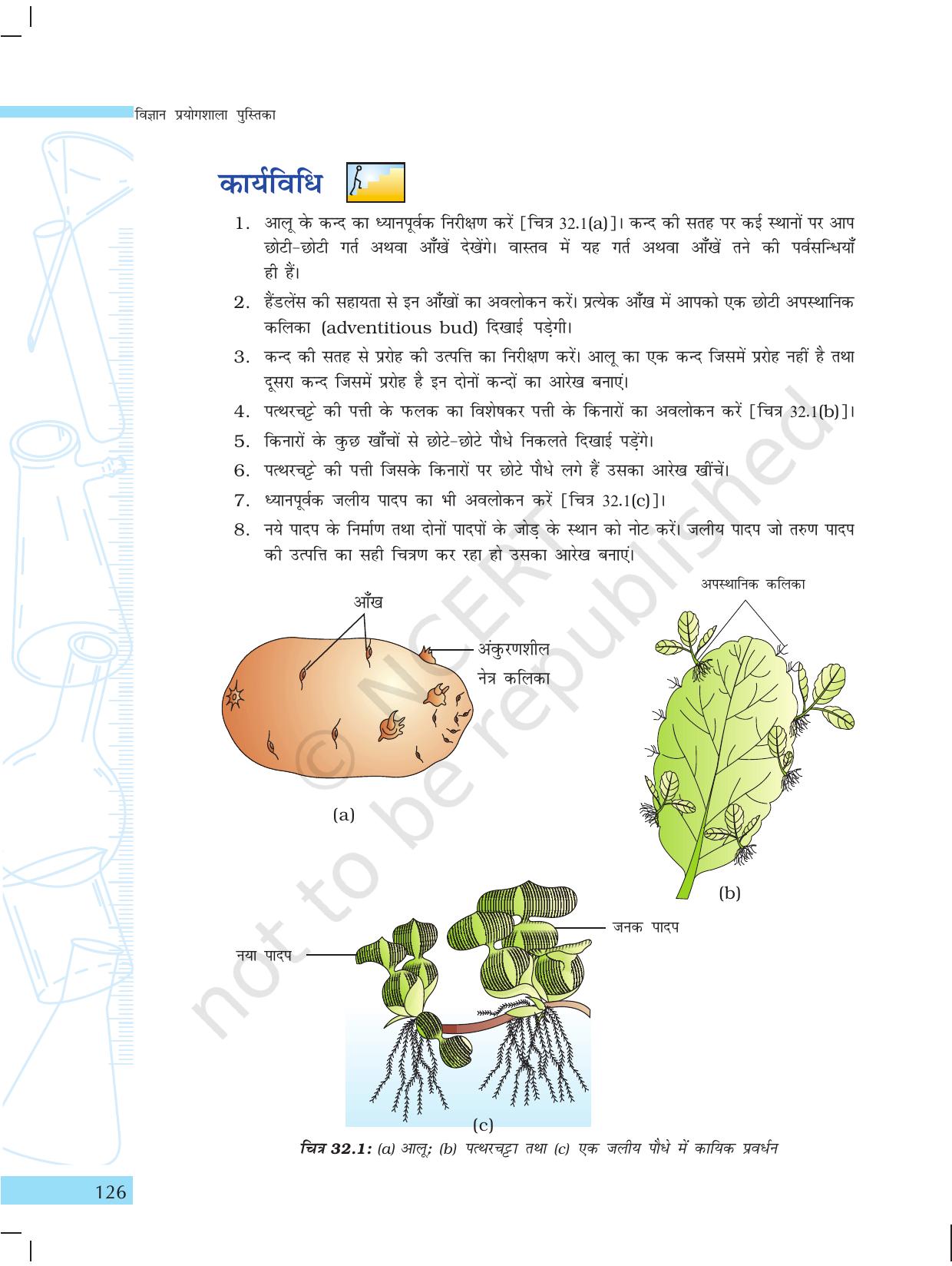 NCERT Laboratory Manuals for Class X विज्ञान - सजीव जगत - Page 34