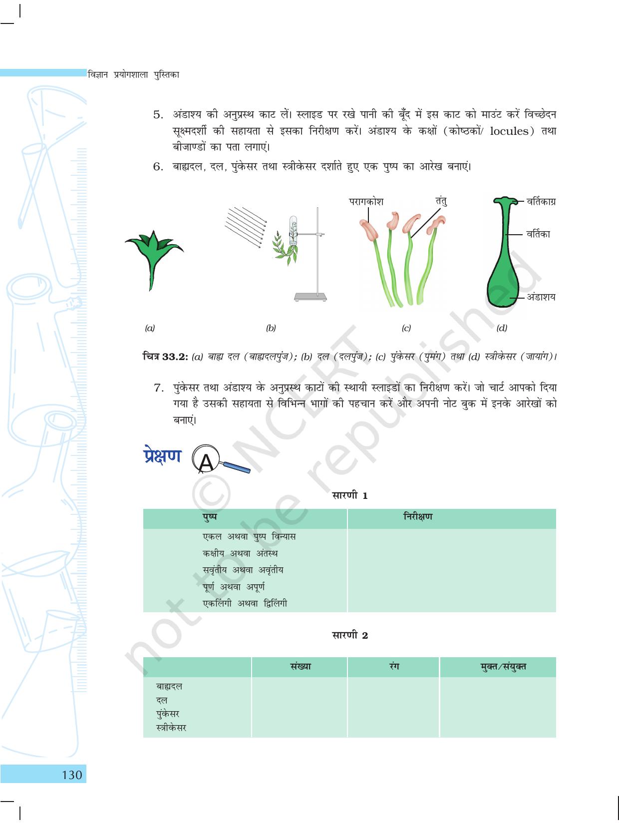 NCERT Laboratory Manuals for Class X विज्ञान - सजीव जगत - Page 38