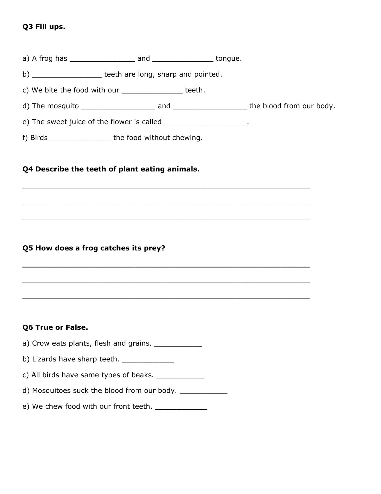 Worksheet for Class 3 EVS Assignment 7 - Page 2
