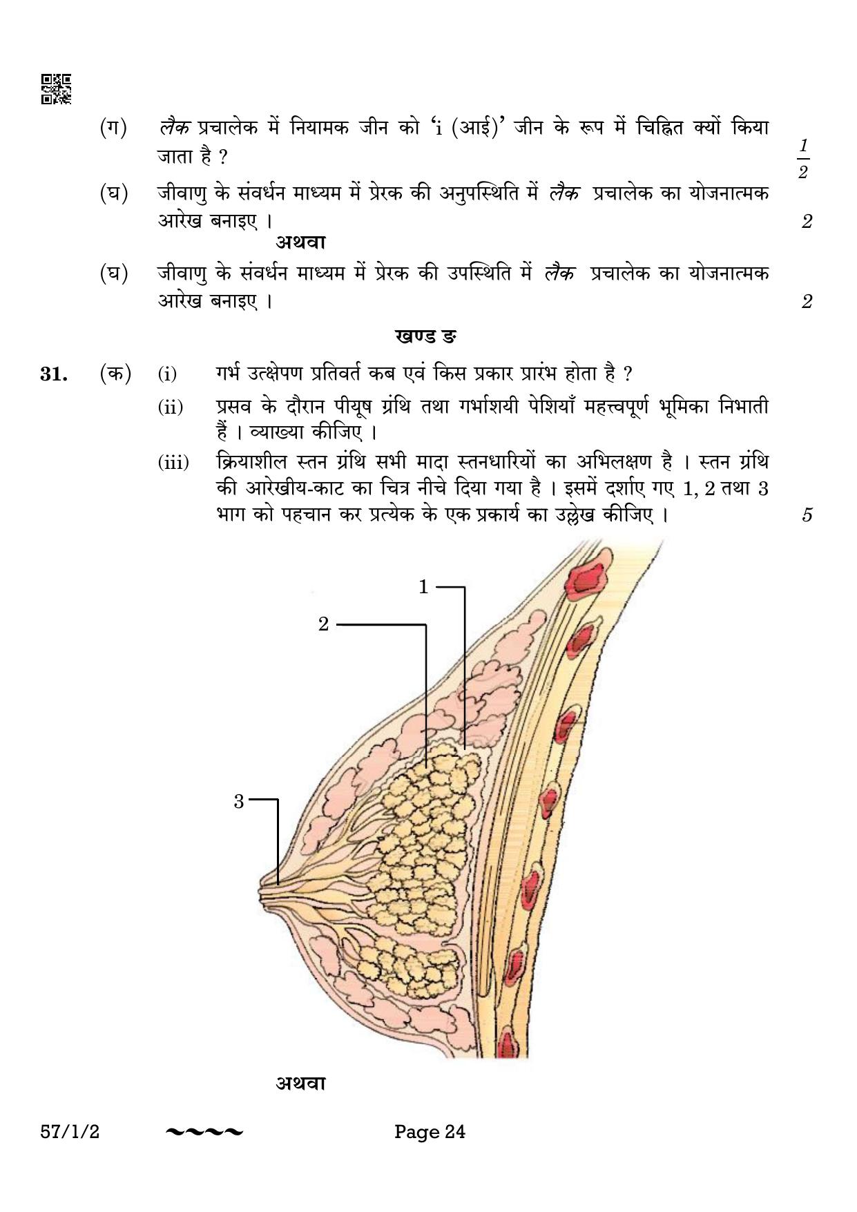 CBSE Class 12 57-1-2 Biology 2023 Question Paper - Page 24
