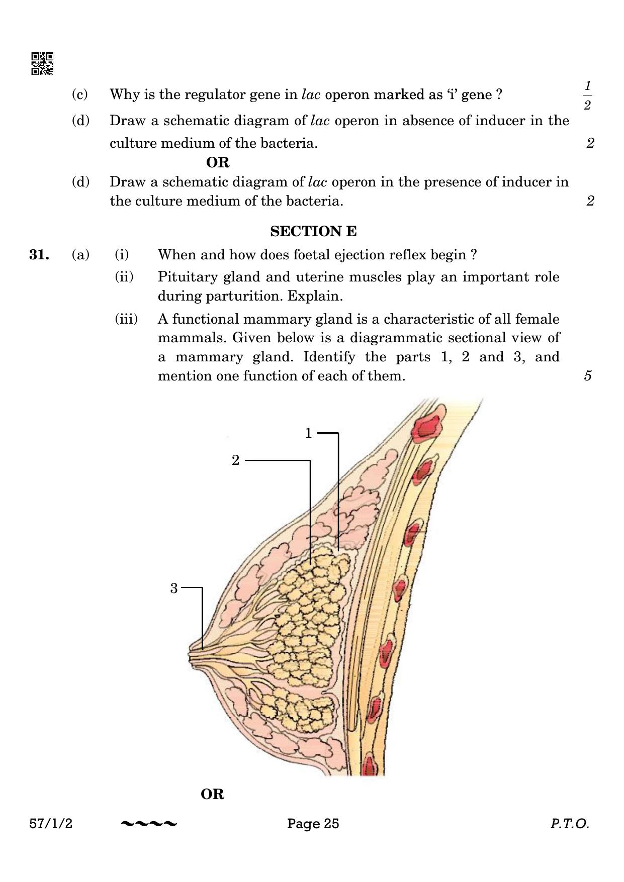 CBSE Class 12 57-1-2 Biology 2023 Question Paper - Page 25