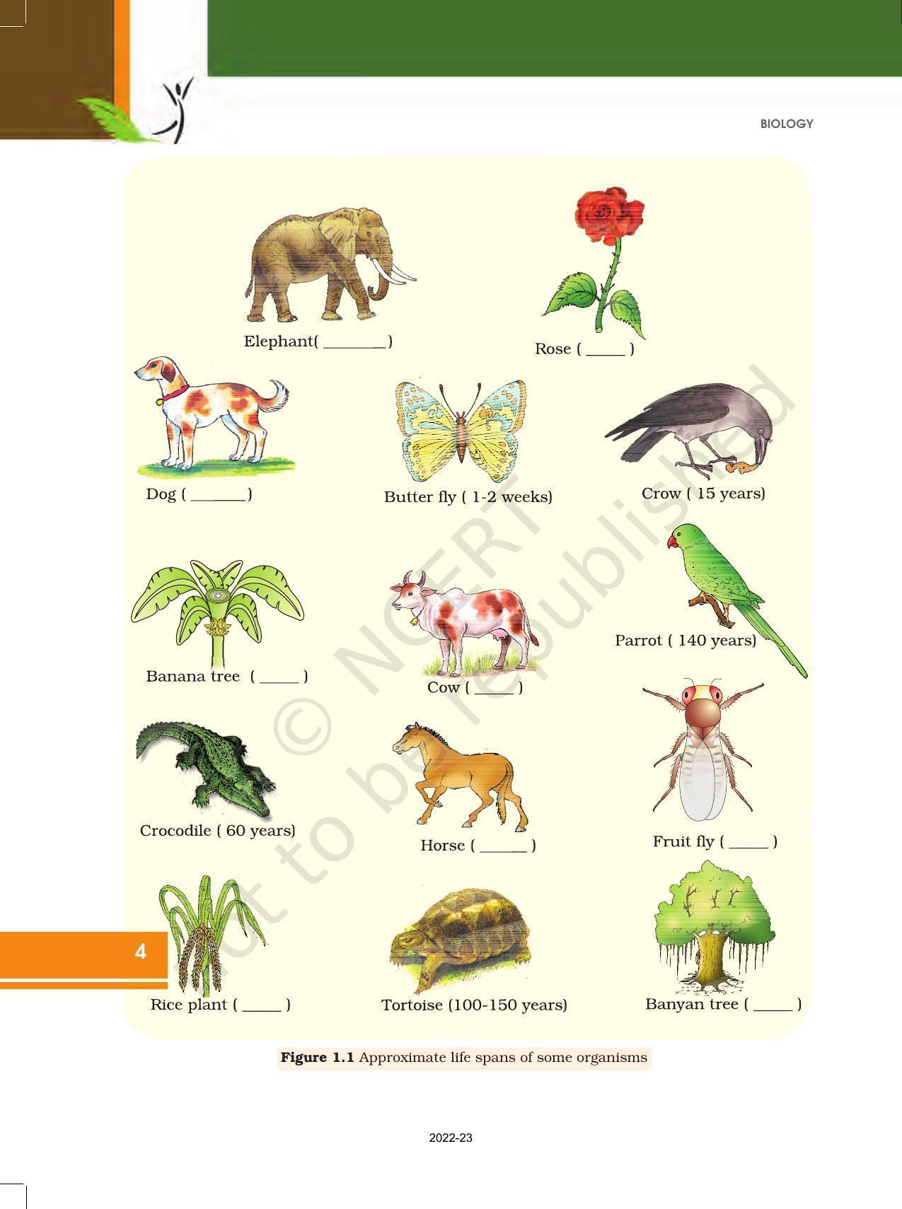 NCERT Book for Class 12 Biology Chapter 1 Reproduction in Organisms - Page 4