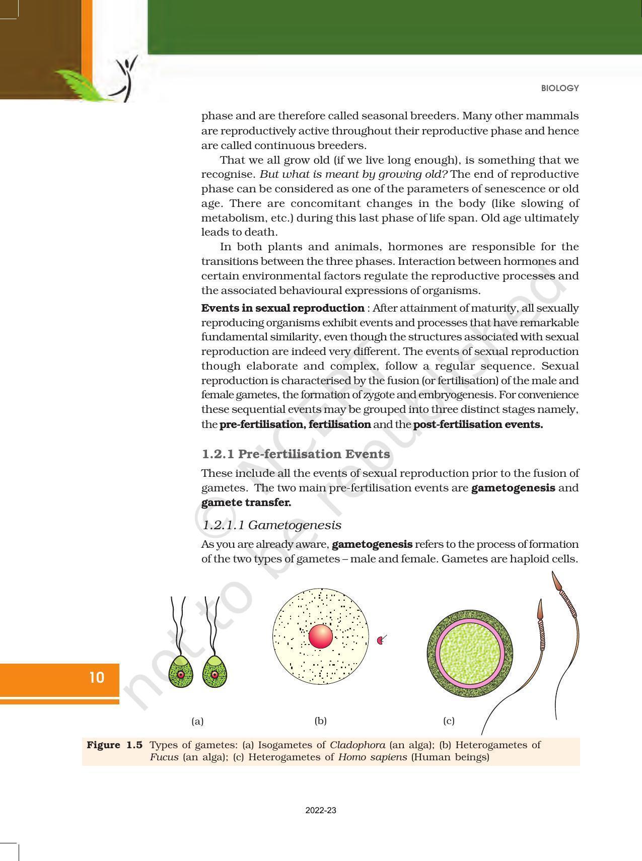 NCERT Book for Class 12 Biology Chapter 1 Reproduction in Organisms - Page 10