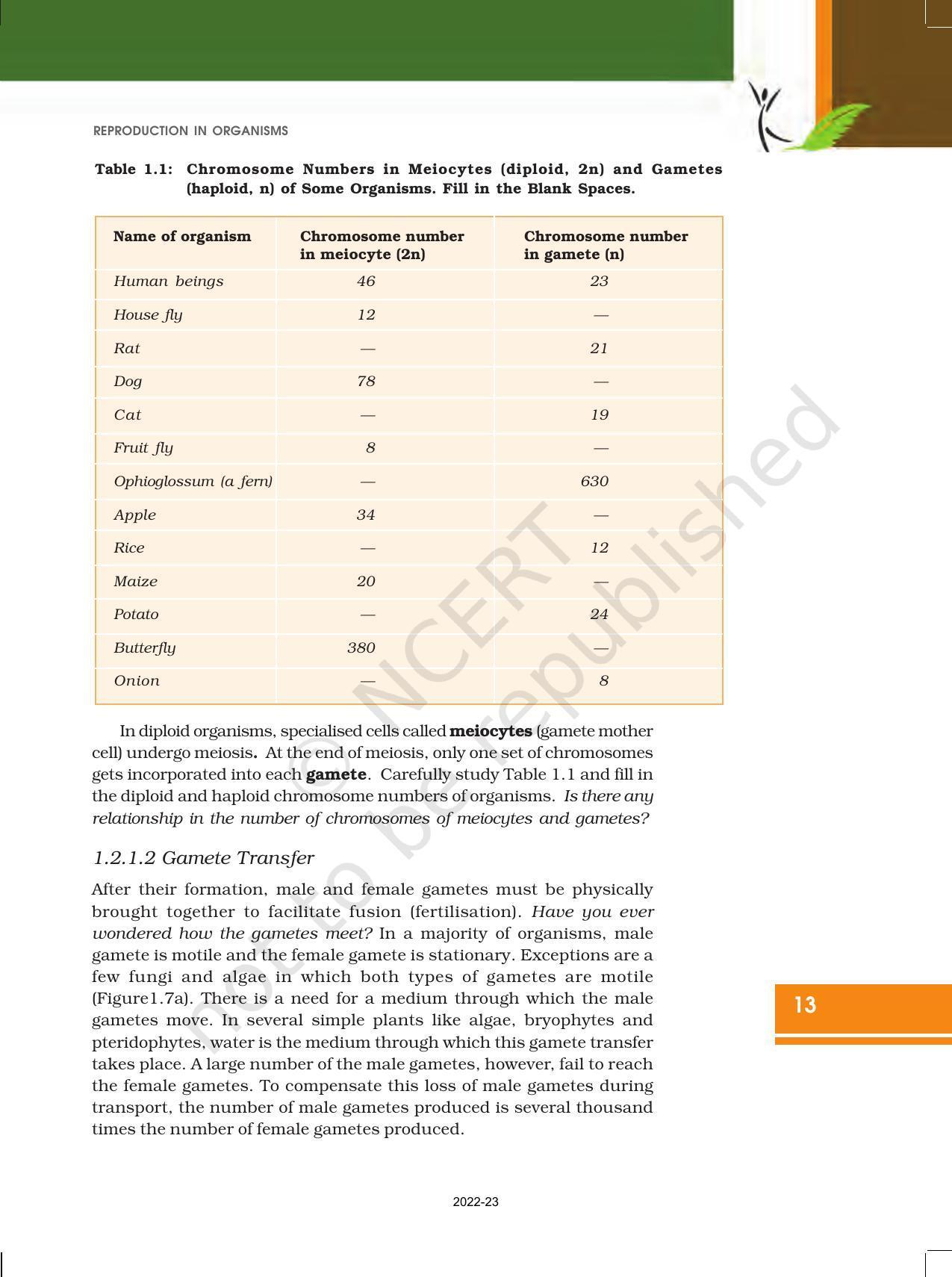 NCERT Book for Class 12 Biology Chapter 1 Reproduction in Organisms - Page 13