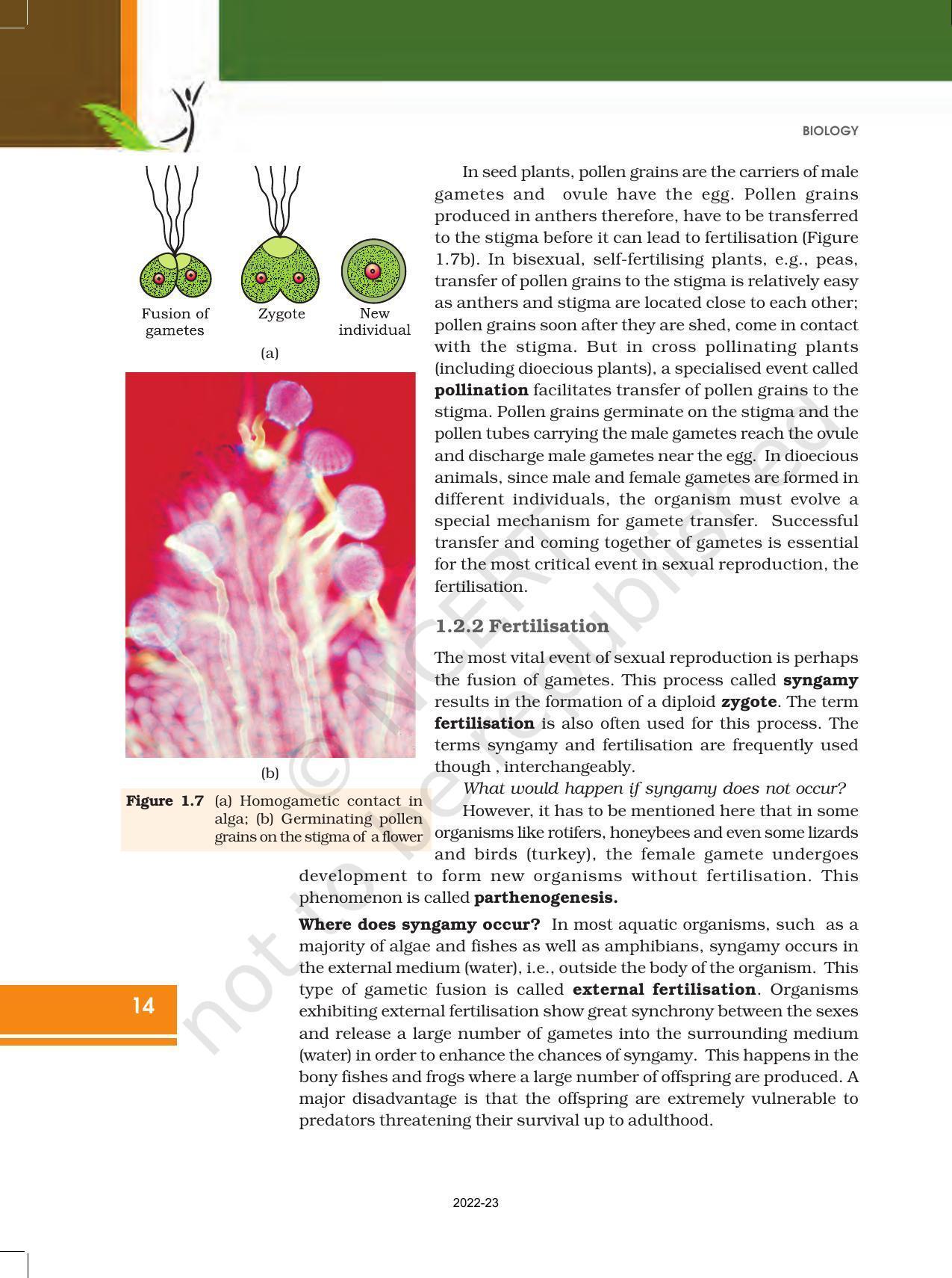 NCERT Book for Class 12 Biology Chapter 1 Reproduction in Organisms - Page 14