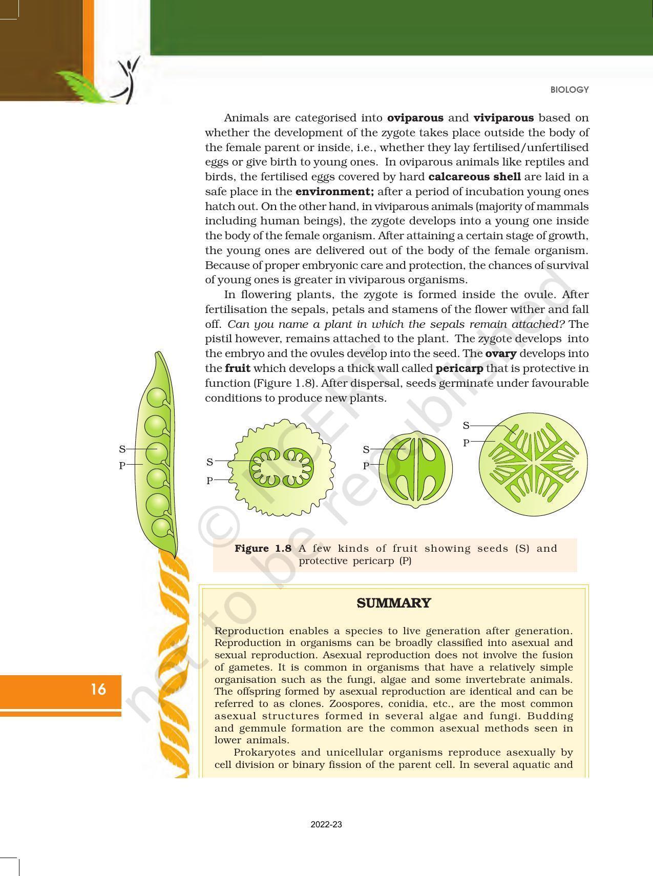 NCERT Book for Class 12 Biology Chapter 1 Reproduction in Organisms - Page 16