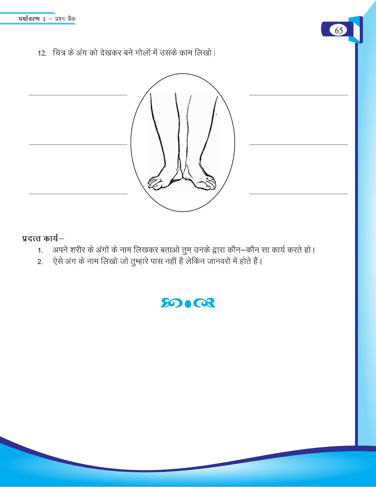 Chhattisgarh Board Class 3 EVS Question Bank 2015-16 - Page 5