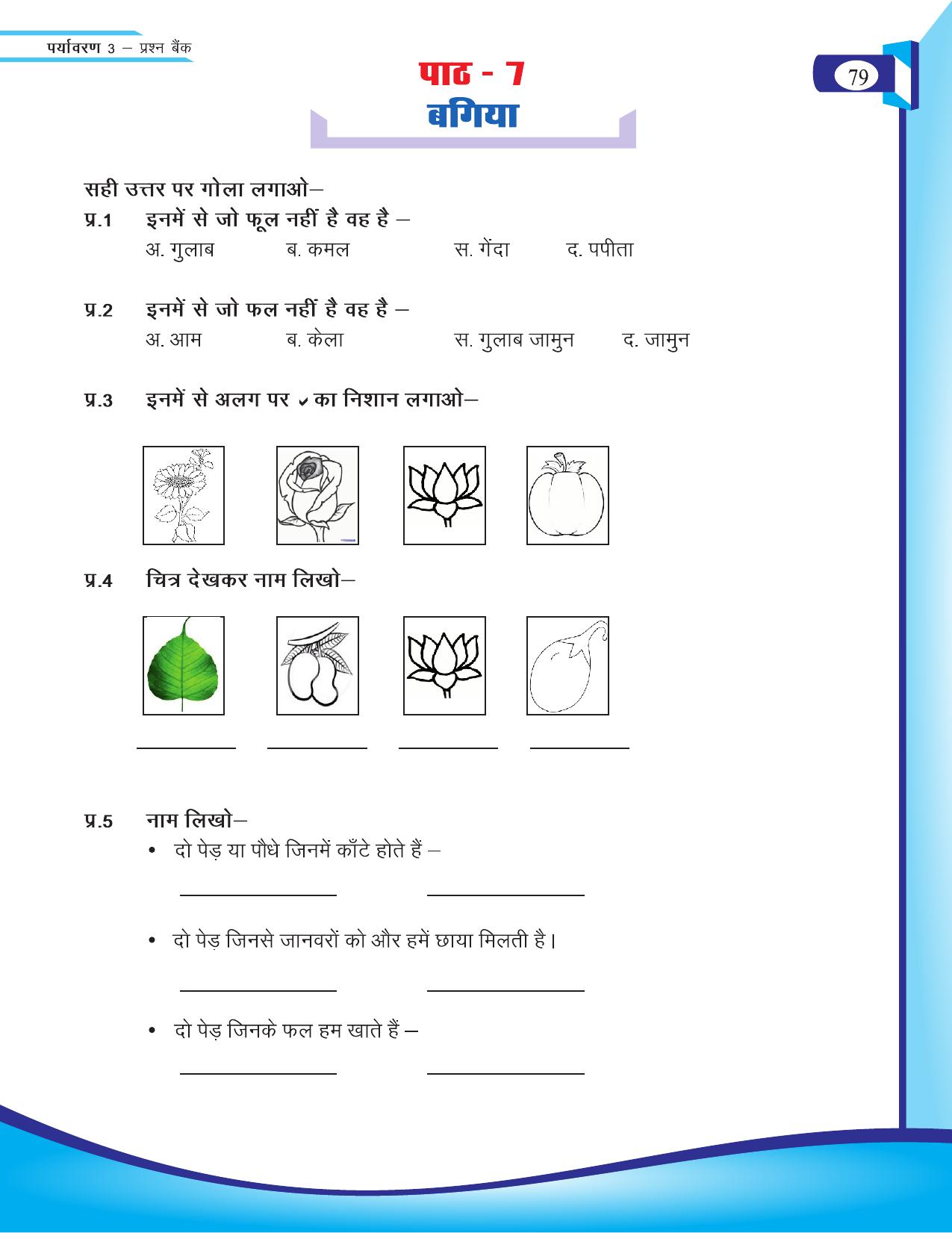 Chhattisgarh Board Class 3 EVS Question Bank 2015-16 - Page 19