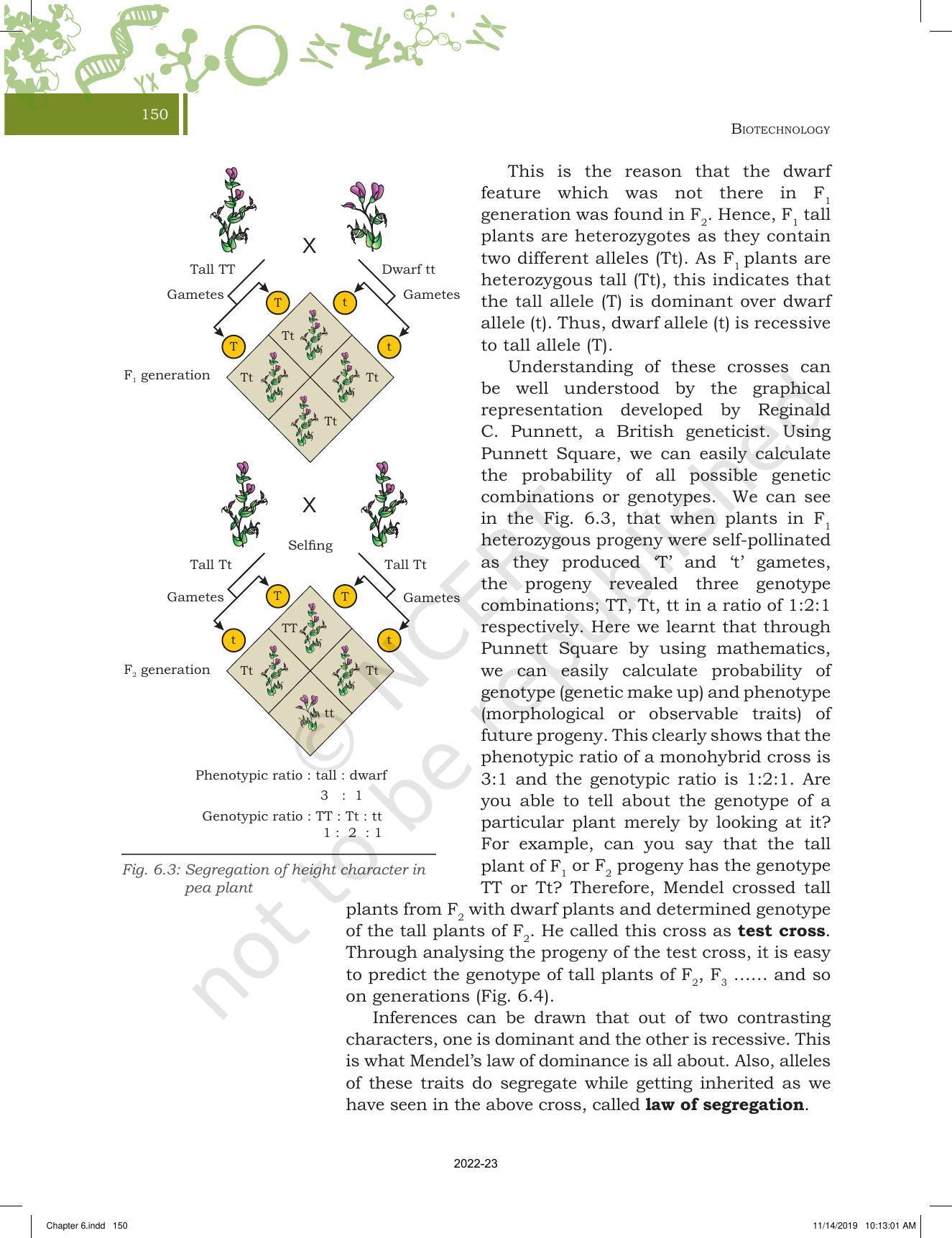 NCERT Book for Class 11 Biotechnology Chapter 6 Basic Principles of Inheritance - Page 6