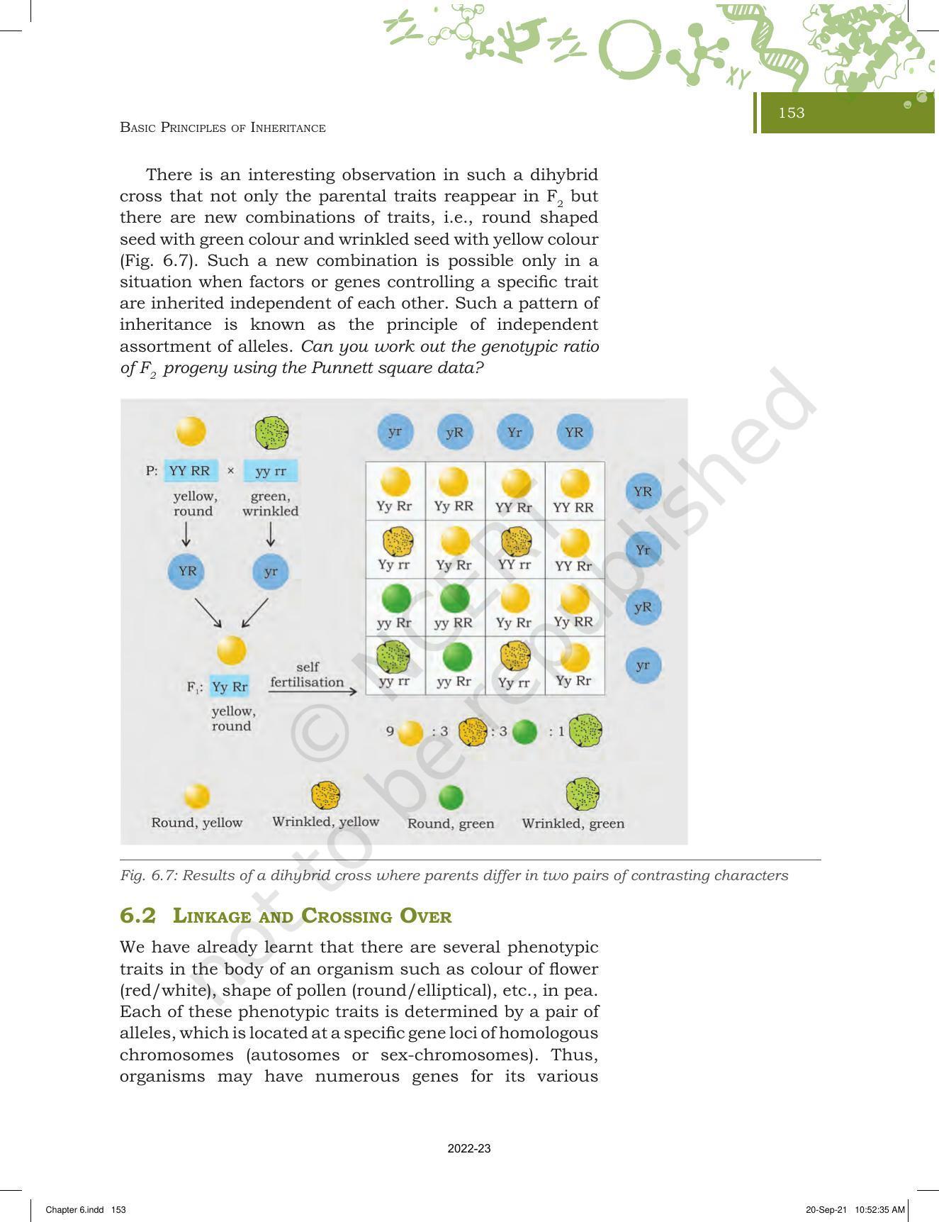 NCERT Book for Class 11 Biotechnology Chapter 6 Basic Principles of Inheritance - Page 9