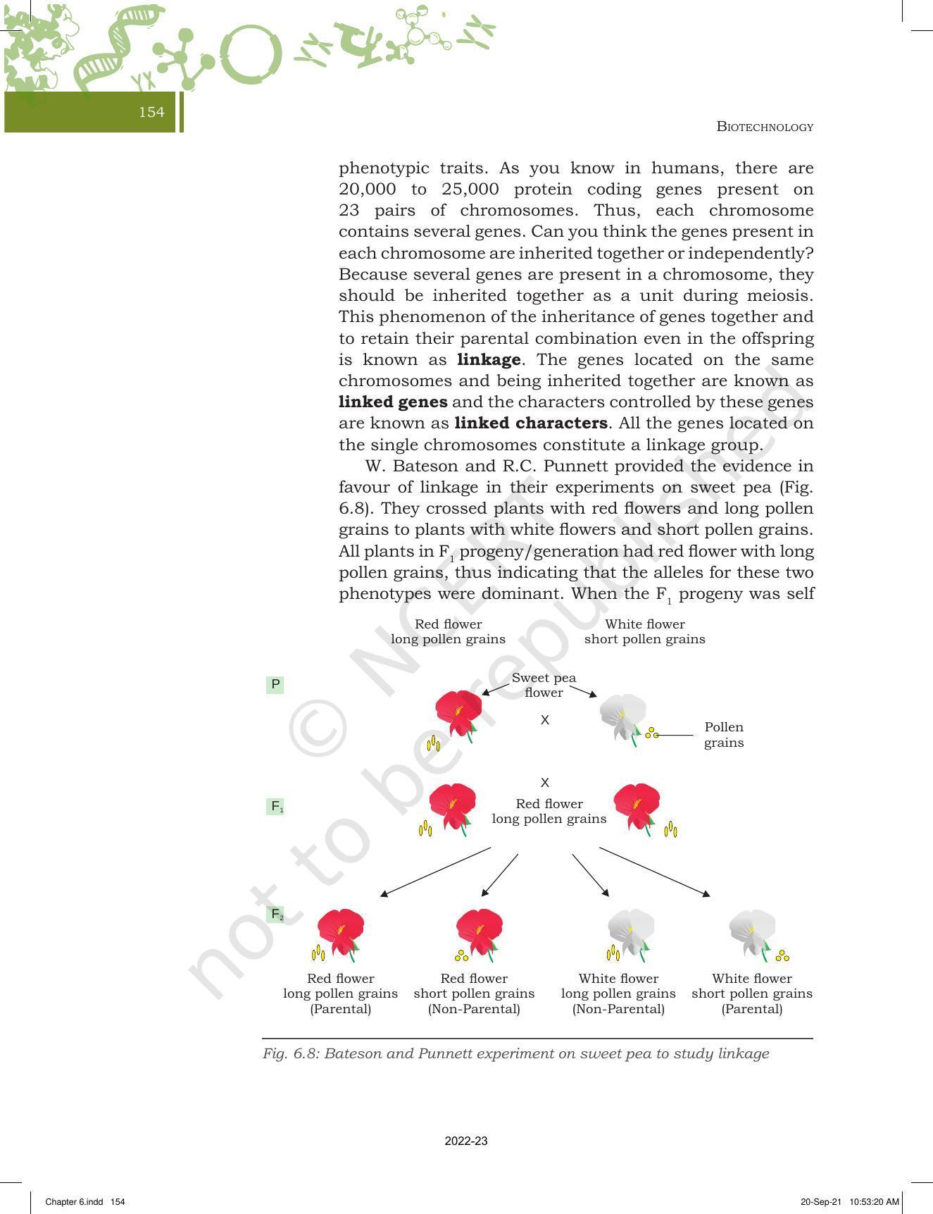 NCERT Book for Class 11 Biotechnology Chapter 6 Basic Principles of Inheritance - Page 10