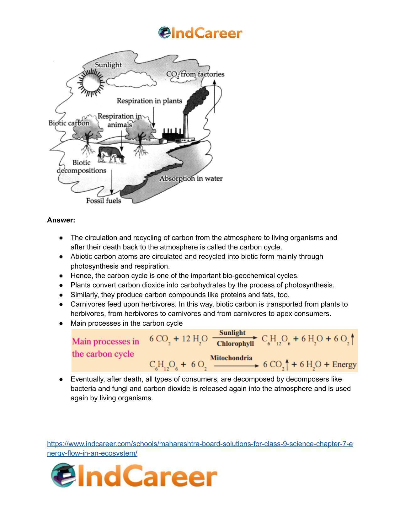 Maharashtra Board Solutions for Class 9- Science: Chapter 7- Energy Flow in an Ecosystem - Page 4