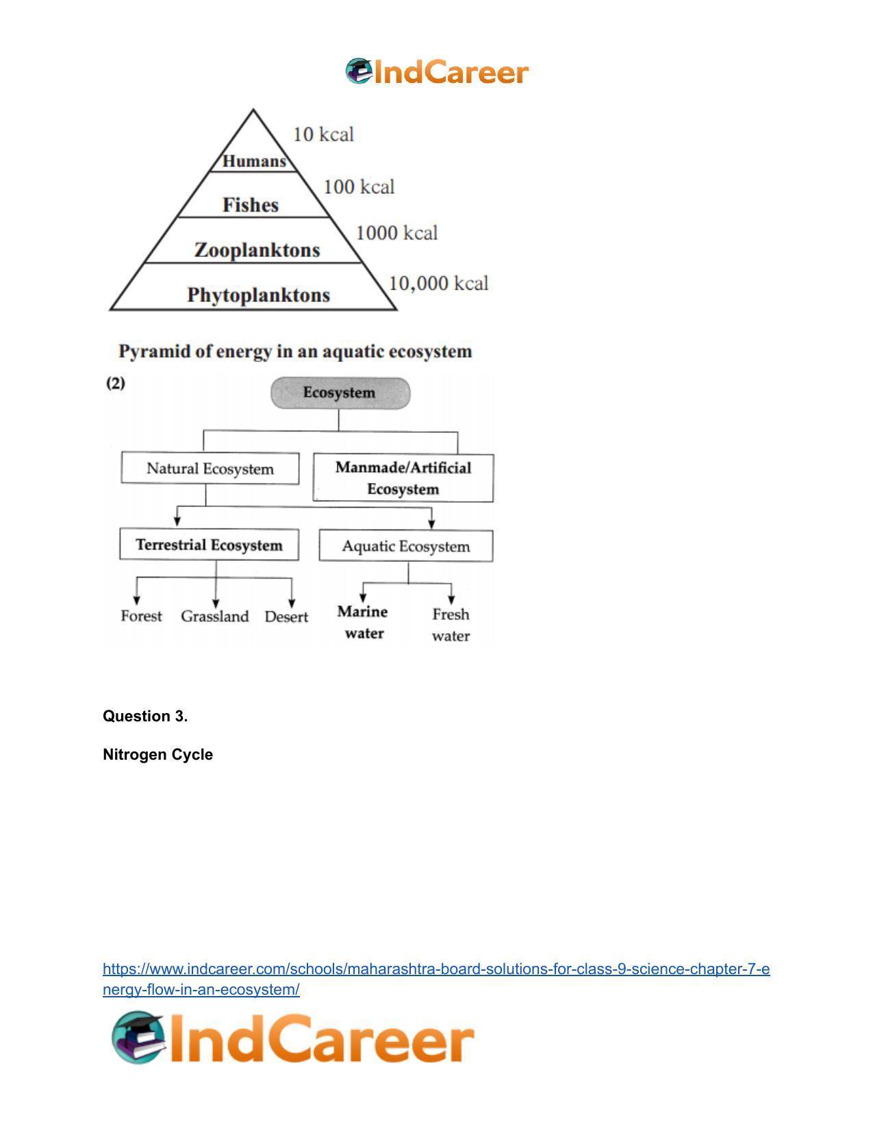 Maharashtra Board Solutions for Class 9- Science: Chapter 7- Energy Flow in an Ecosystem - Page 38