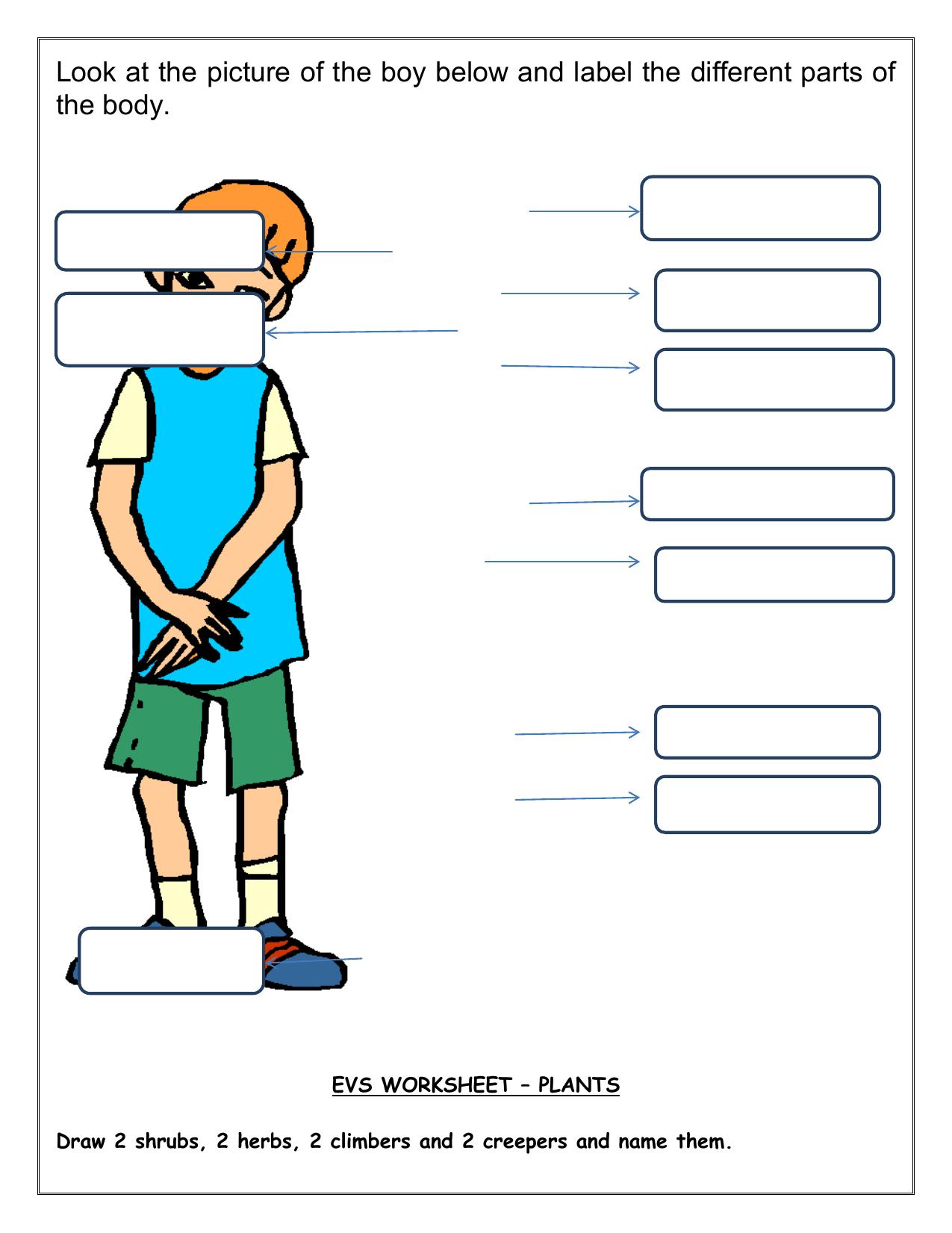 Worksheet for Class 2 English Revision Assignment 118 - Page 22