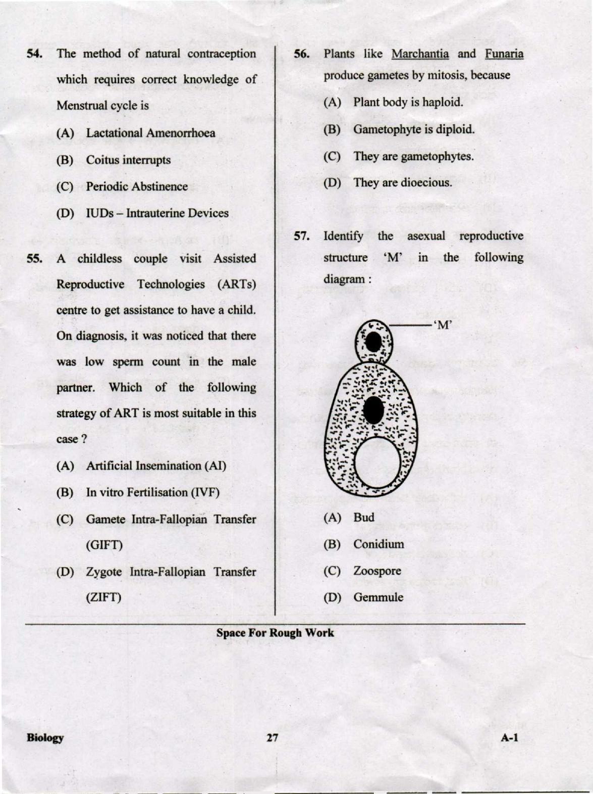 KCET Biology 2019 Question Papers - Page 27