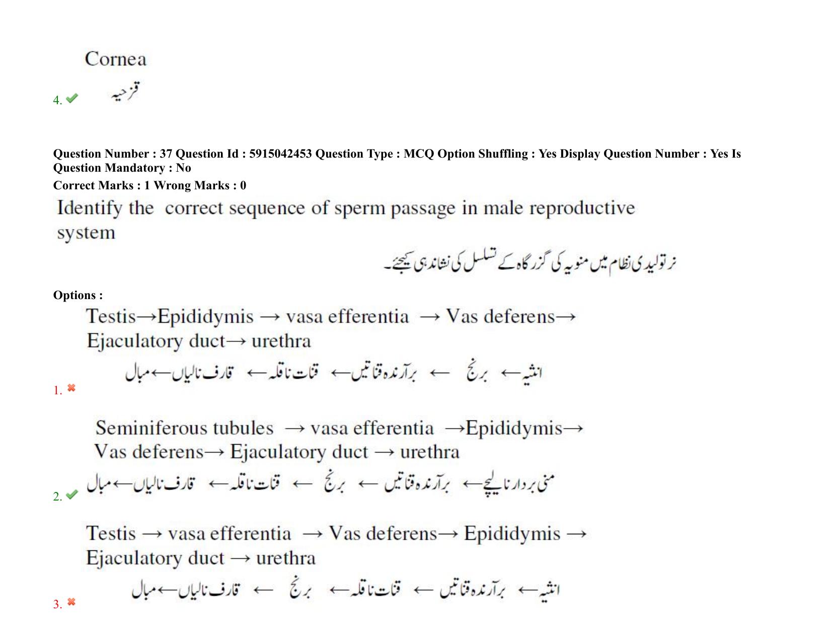TS EDCET: 25th August 2021 Shift 2 Urdu Question Paper & Answer Key - Page 29