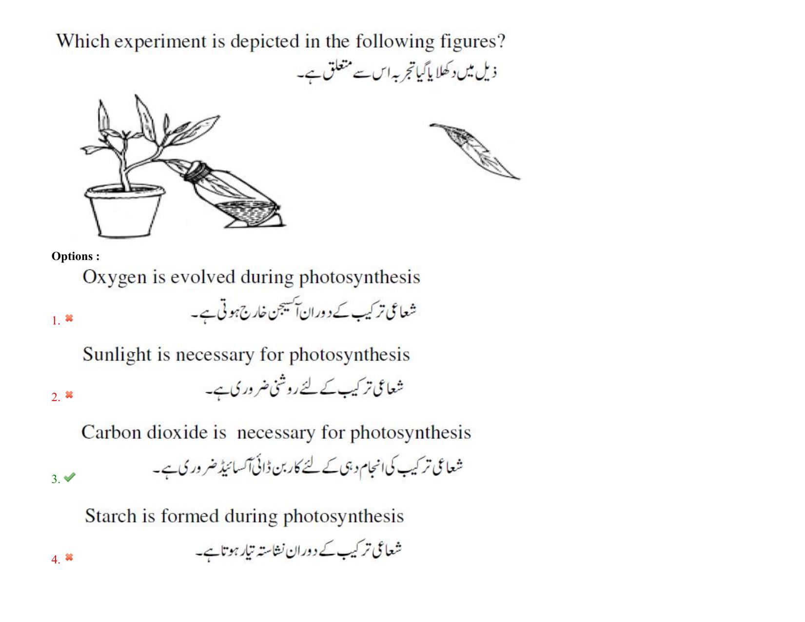 TS EDCET: 25th August 2021 Shift 2 Urdu Question Paper & Answer Key - Page 32