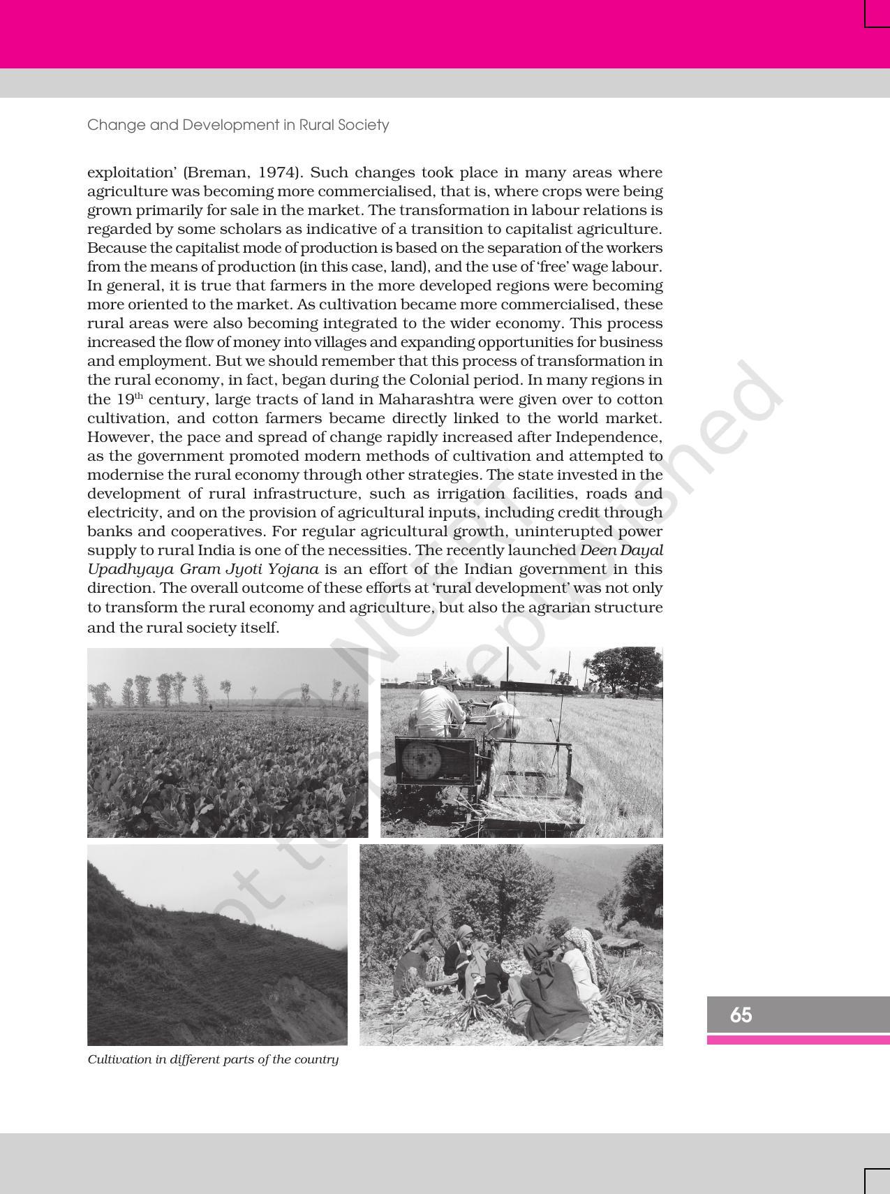 NCERT Book for Class 12 Sociology (Social Change and Development in India) Chapter 4 Change and Development in Rural Society - Page 11