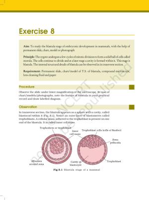 NCERT Laboratory Manuals for Class XII Biology - Exercise 8 & 9