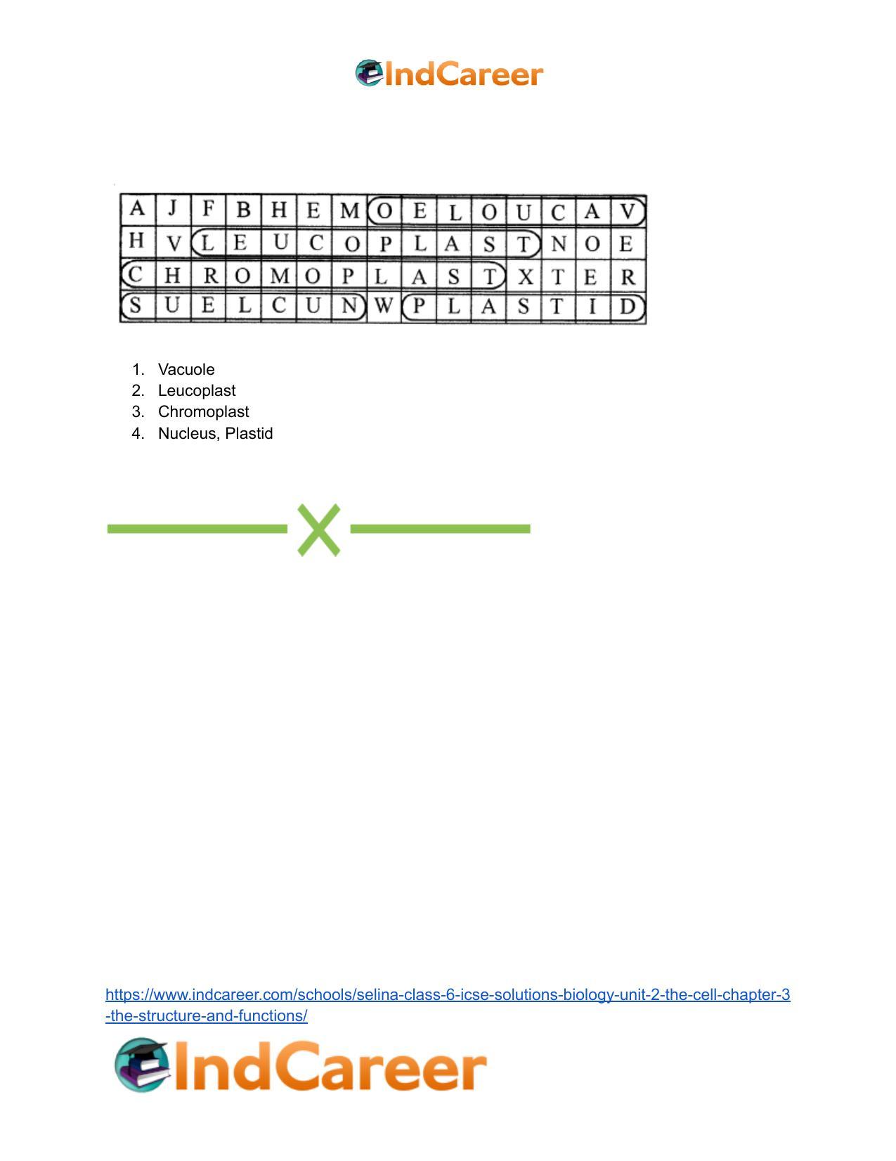 Selina Class 6 ICSE Solutions Biology (Unit 2) - The Cell: Chapter 3- The Structure and Functions - Page 8
