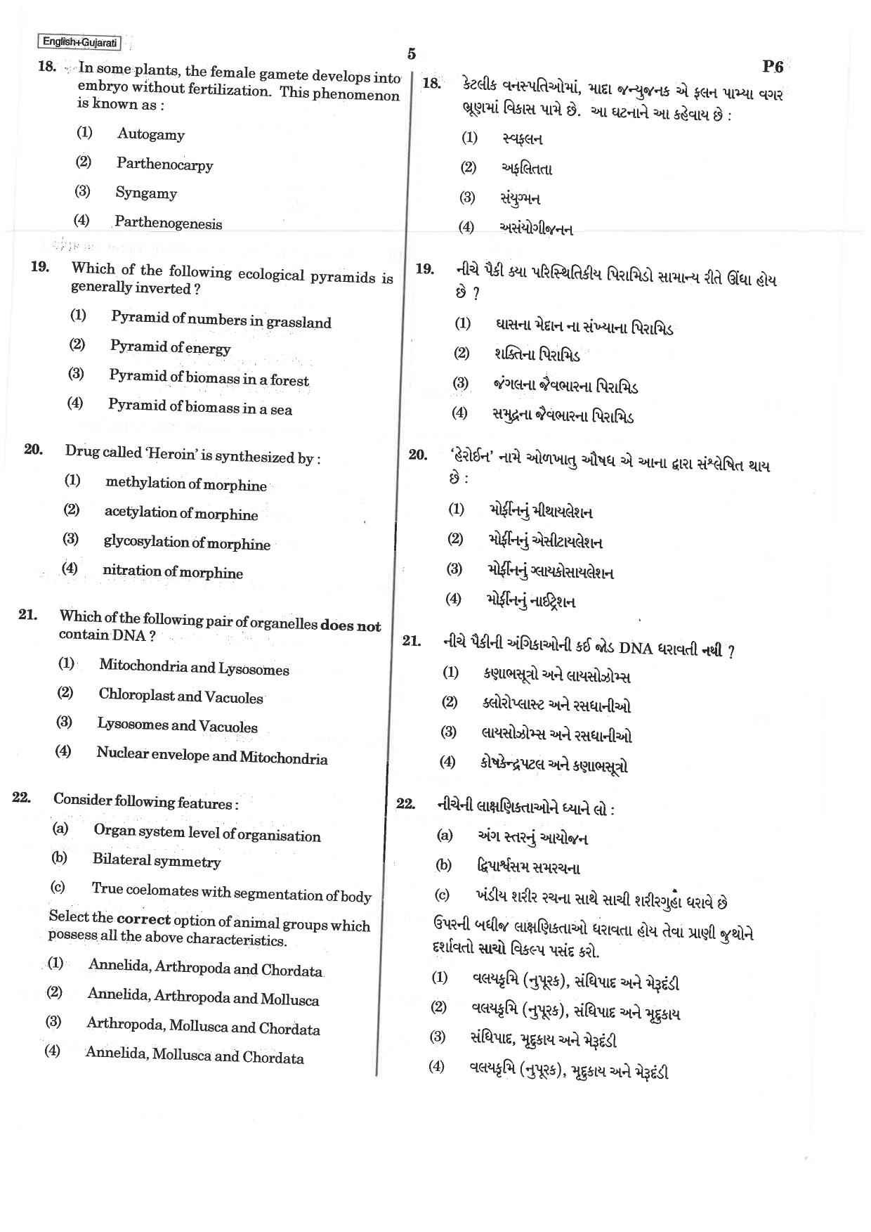 NEET Q5 2019 Question Paper - Page 5