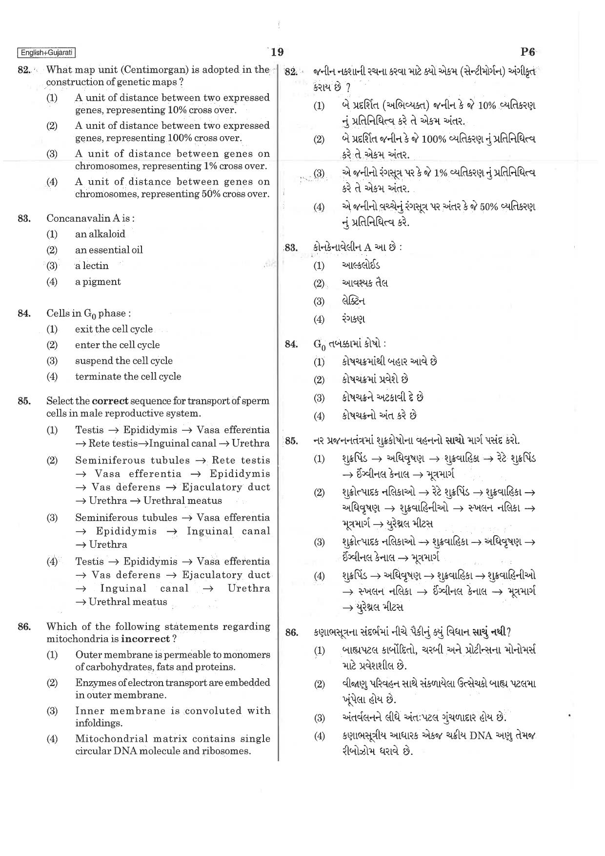 NEET Q5 2019 Question Paper - Page 19