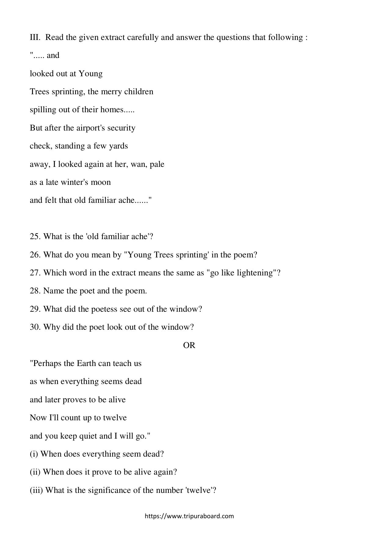 TBSE Class 12 English Question Paper 2023 - Page 8