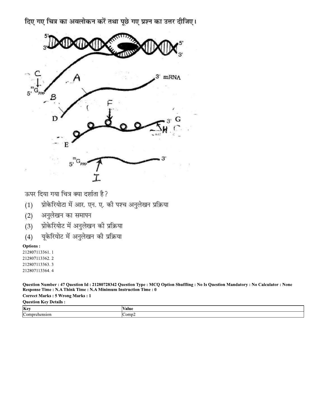 CUET 2023 Domestic Shift 1 Question Paper - 15 June 2023 - Page 45