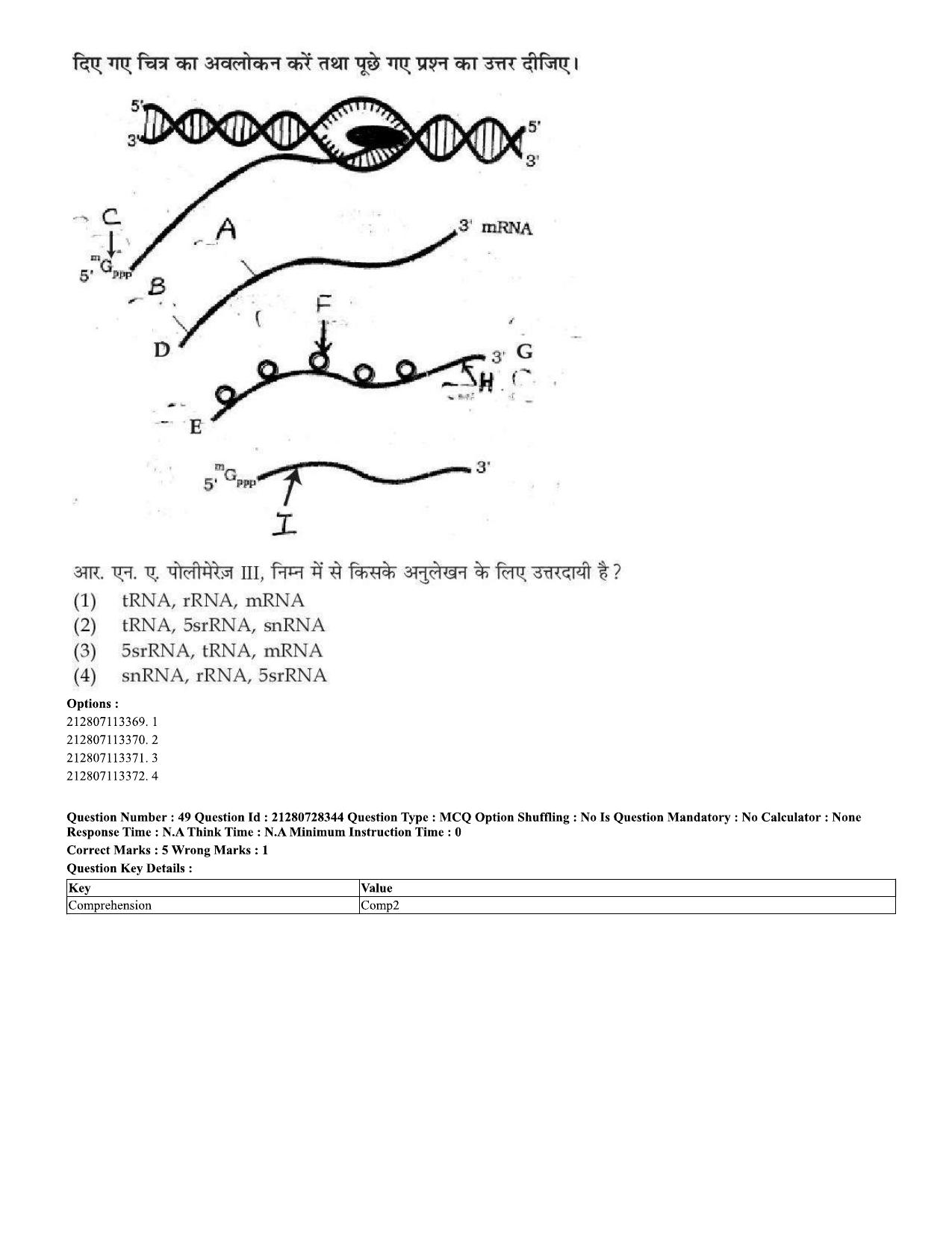 CUET 2023 Domestic Shift 1 Question Paper - 15 June 2023 - Page 49