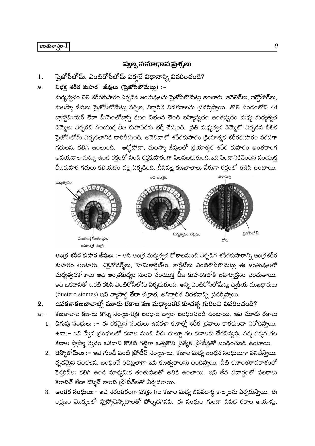 TS SCERT Inter 2nd Year Zoology I TM Path 1 (Telugu Medium) Text Book - Page 14