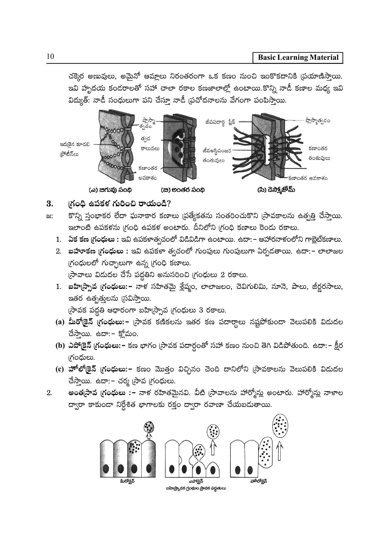 TS SCERT Inter 2nd Year Zoology I TM Path 1 (Telugu Medium) Text Book - Page 15
