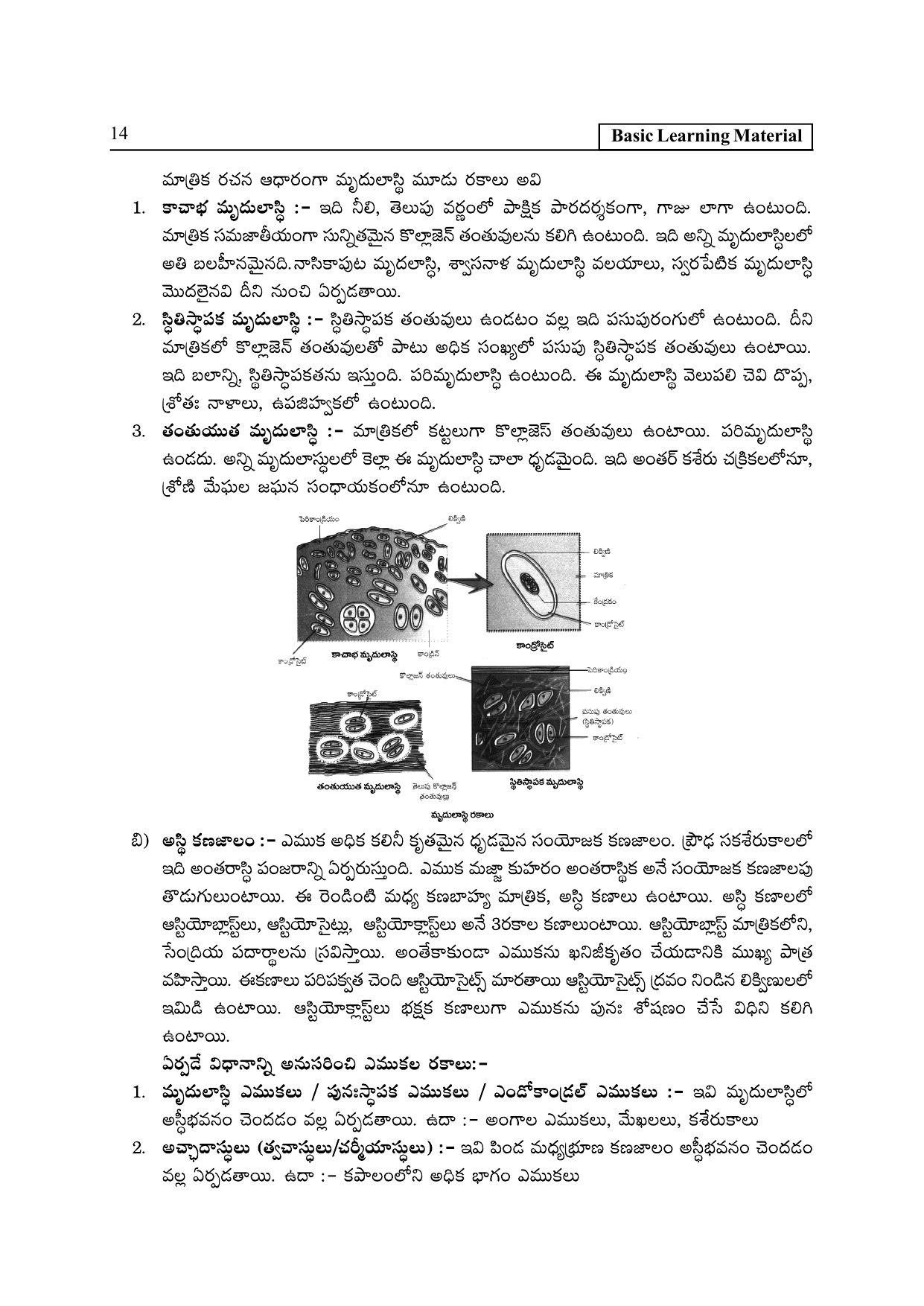 TS SCERT Inter 2nd Year Zoology I TM Path 1 (Telugu Medium) Text Book - Page 19