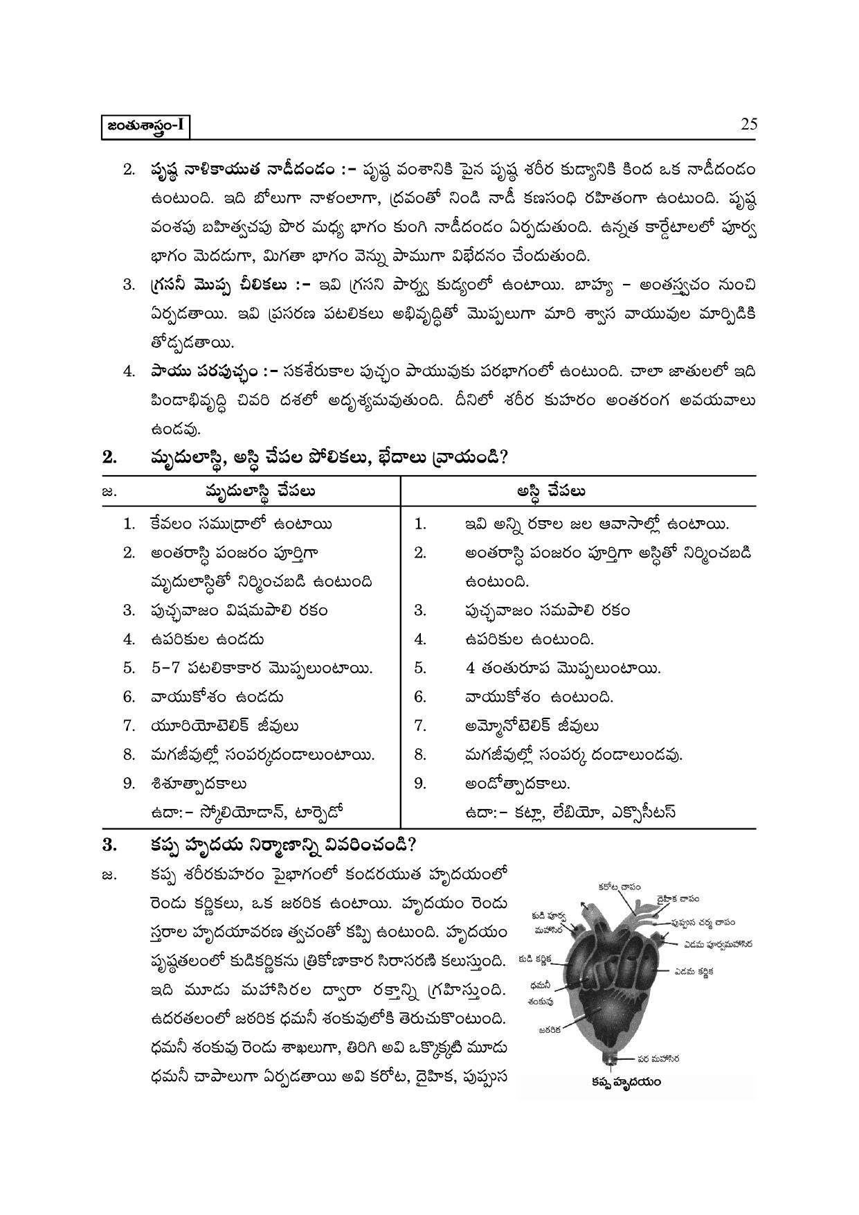 TS SCERT Inter 2nd Year Zoology I TM Path 1 (Telugu Medium) Text Book - Page 30