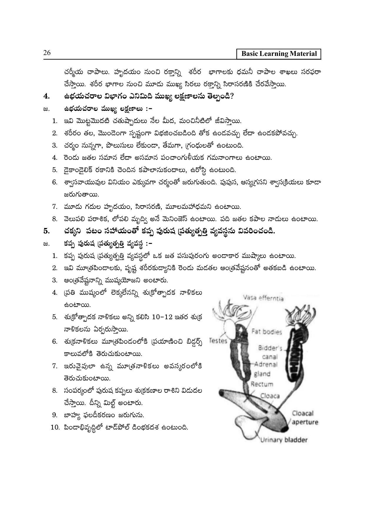 TS SCERT Inter 2nd Year Zoology I TM Path 1 (Telugu Medium) Text Book - Page 31