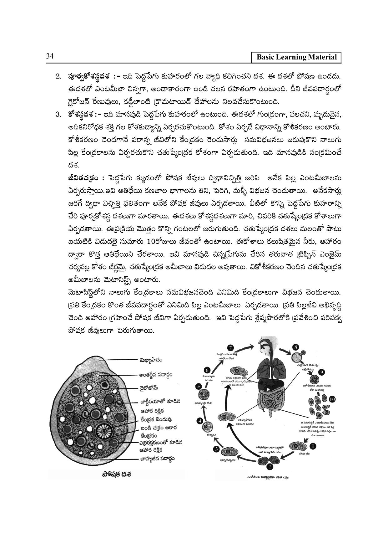 TS SCERT Inter 2nd Year Zoology I TM Path 1 (Telugu Medium) Text Book - Page 39