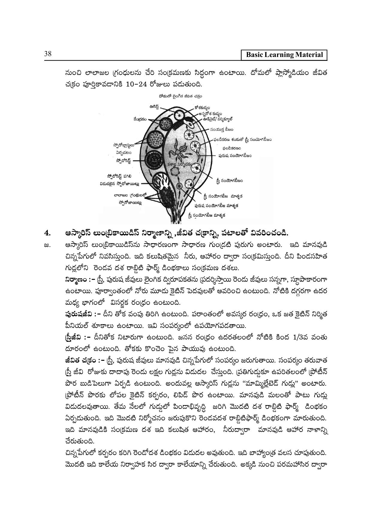 TS SCERT Inter 2nd Year Zoology I TM Path 1 (Telugu Medium) Text Book - Page 43