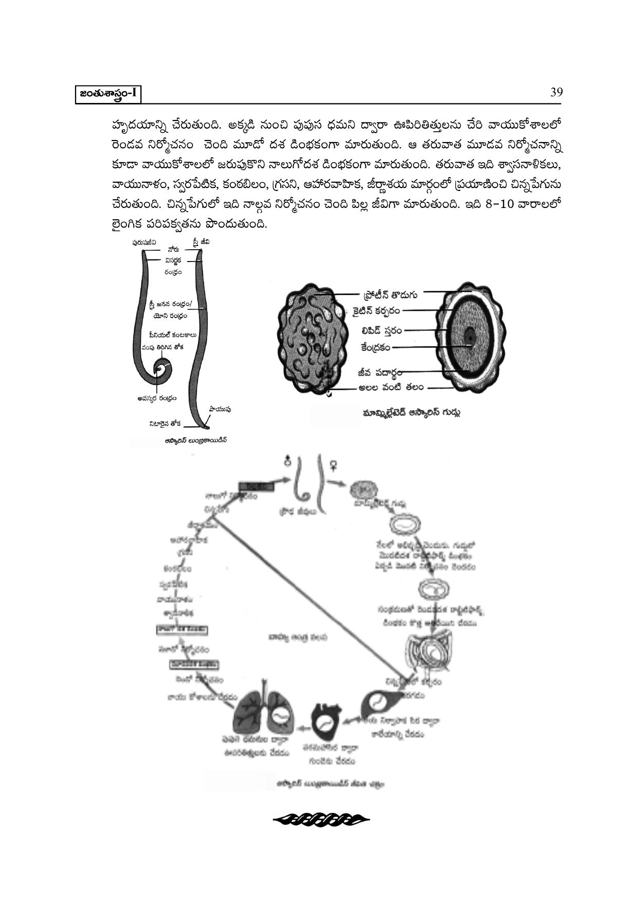 TS SCERT Inter 2nd Year Zoology I TM Path 1 (Telugu Medium) Text Book - Page 44