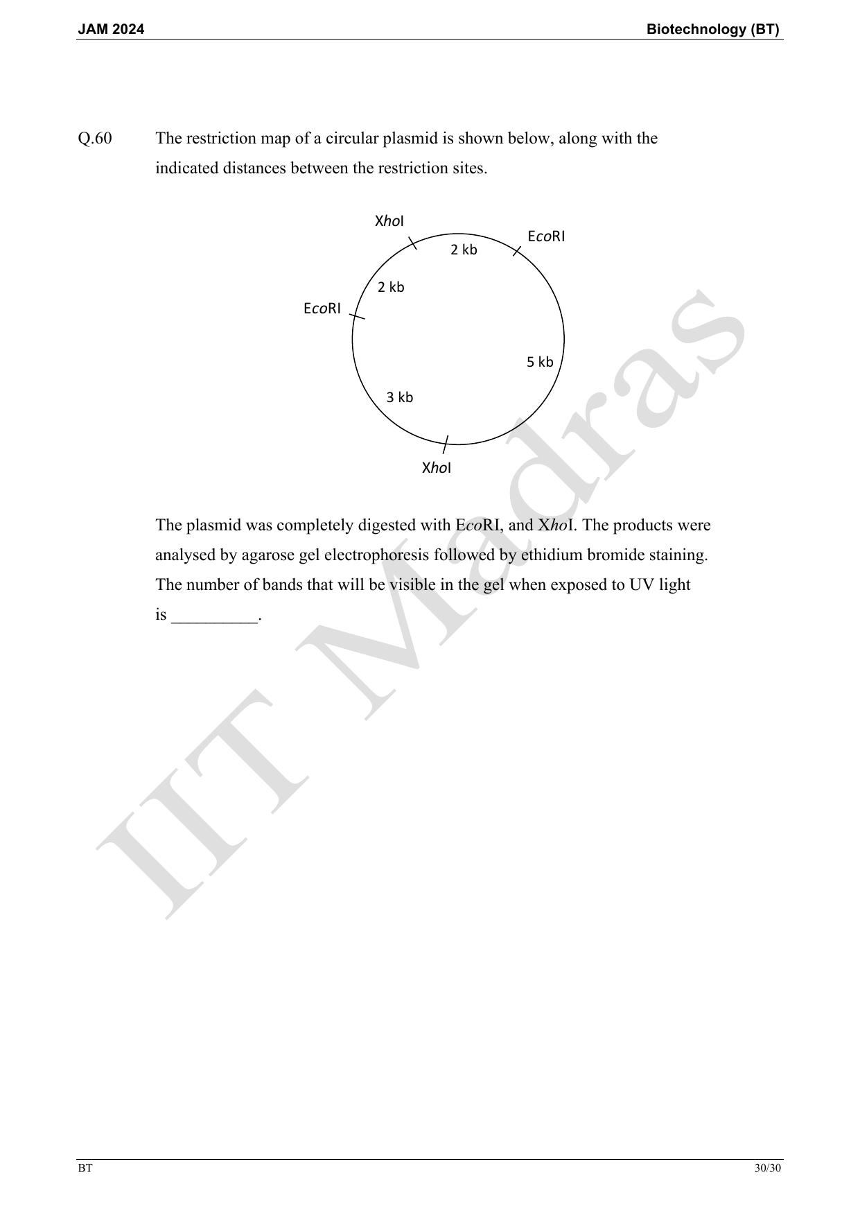 IIT JAM 2024 Biotechnology (BT) Master Question Paper - Page 30