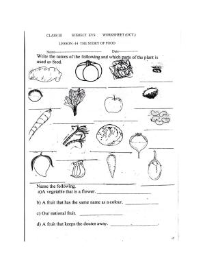 Worksheet for Class 3 EVS Assignment 29 The Story of Food